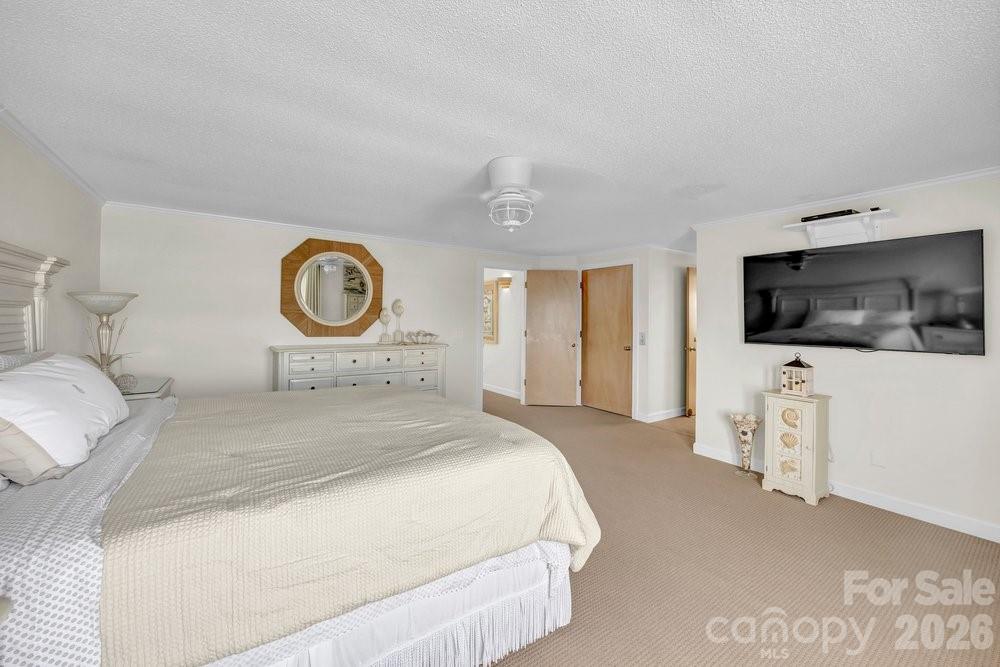 203 Norton Street Property Photo 28