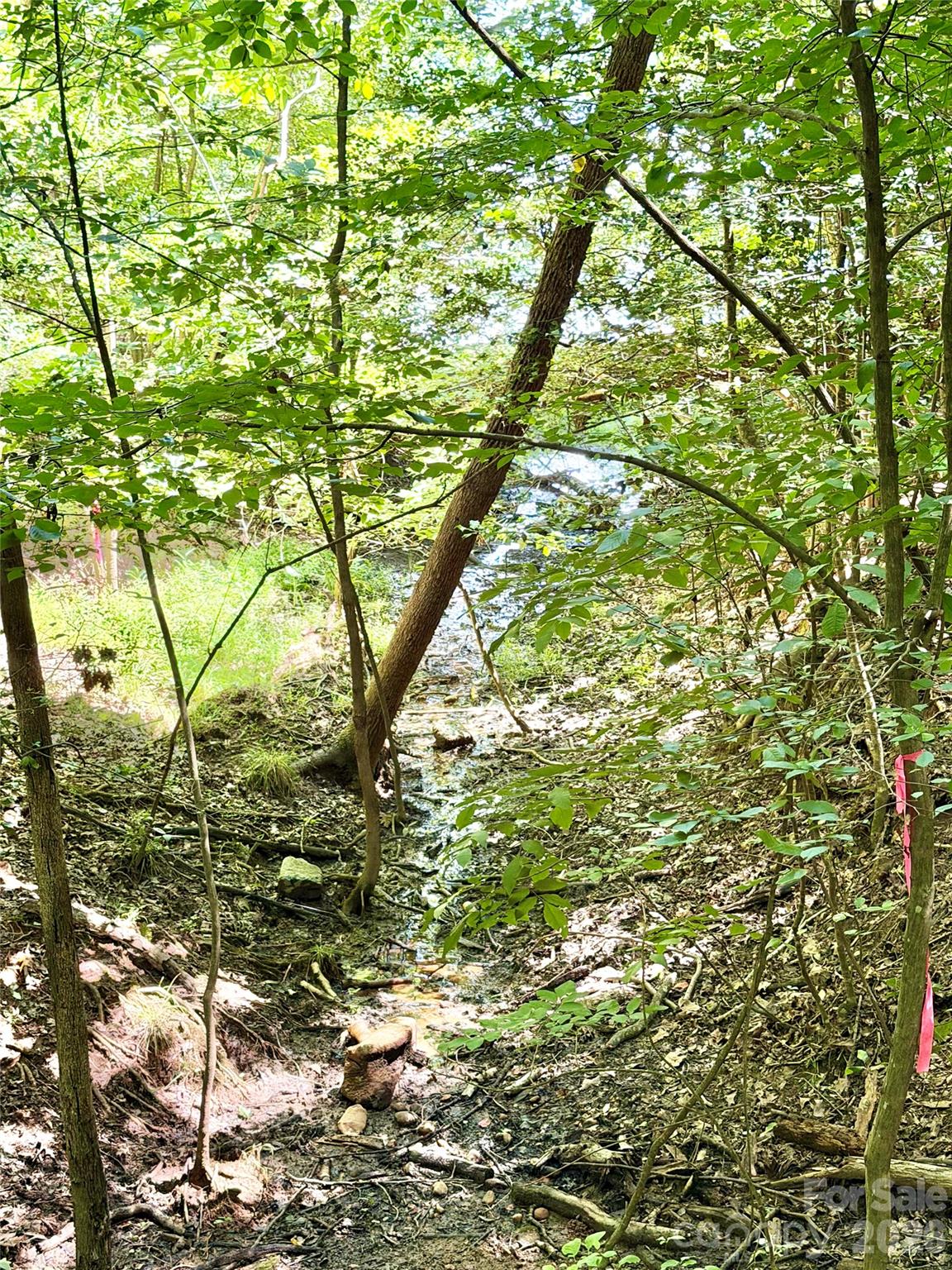 283 Rivercliff Drive Property Photo 1