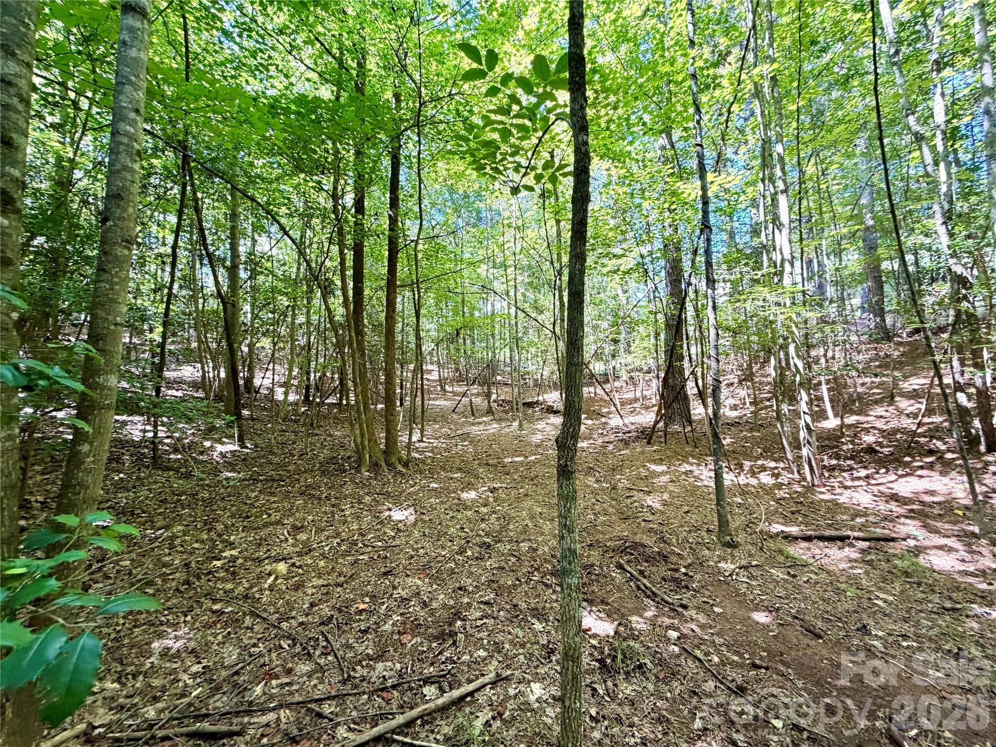 283 Rivercliff Drive Property Photo 3