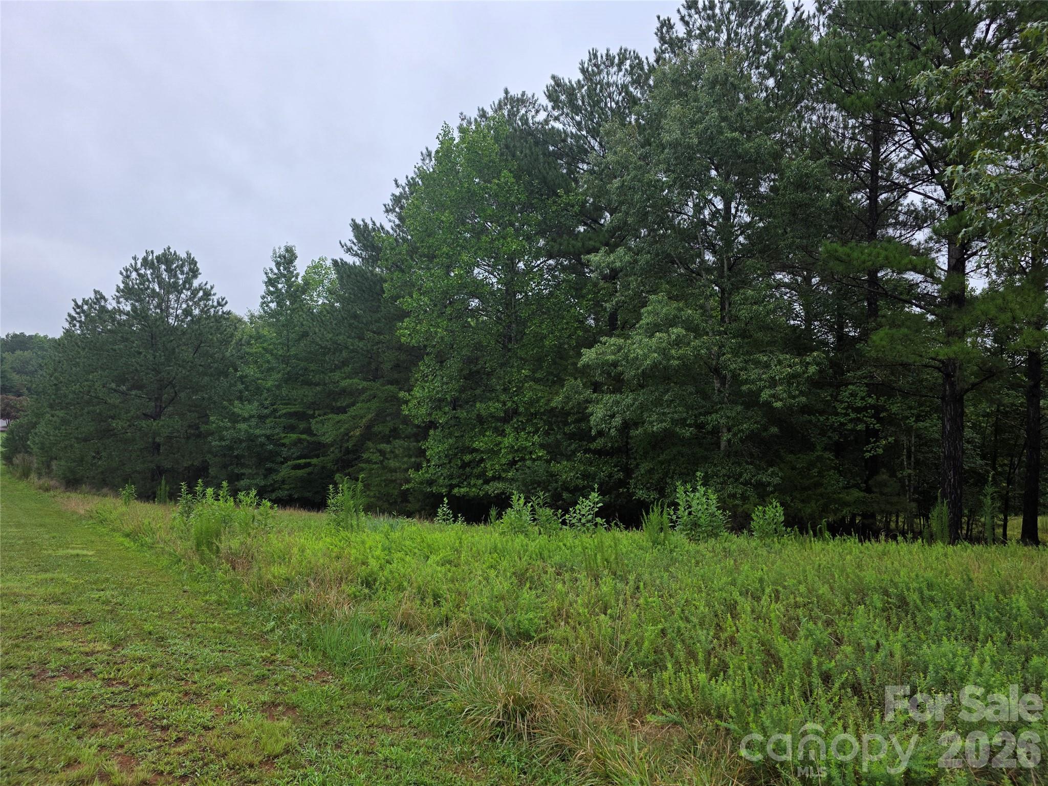 283 Rivercliff Drive Property Photo 4