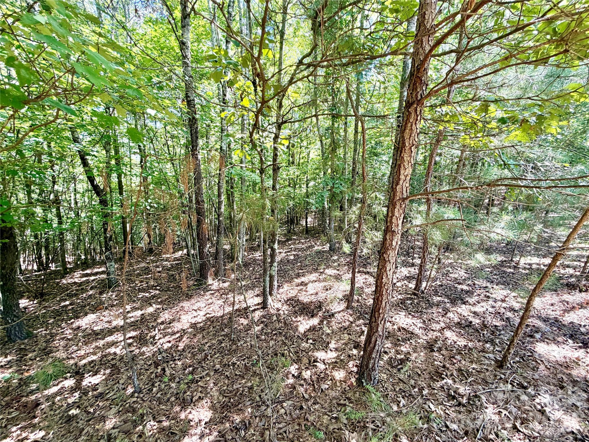 283 Rivercliff Drive Property Photo 5