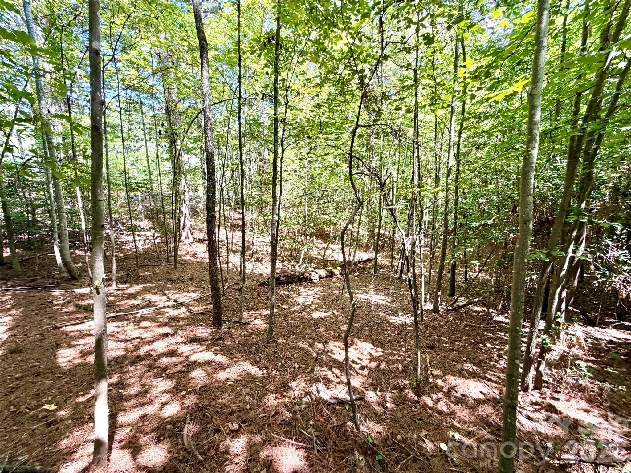 283 Rivercliff Drive Property Photo 11