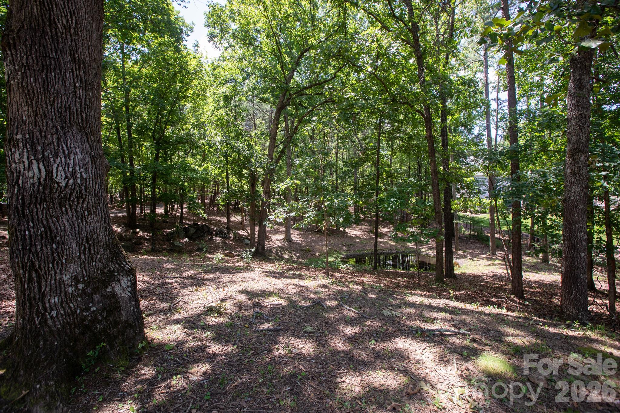 15224 Thomas Road Property Photo 33