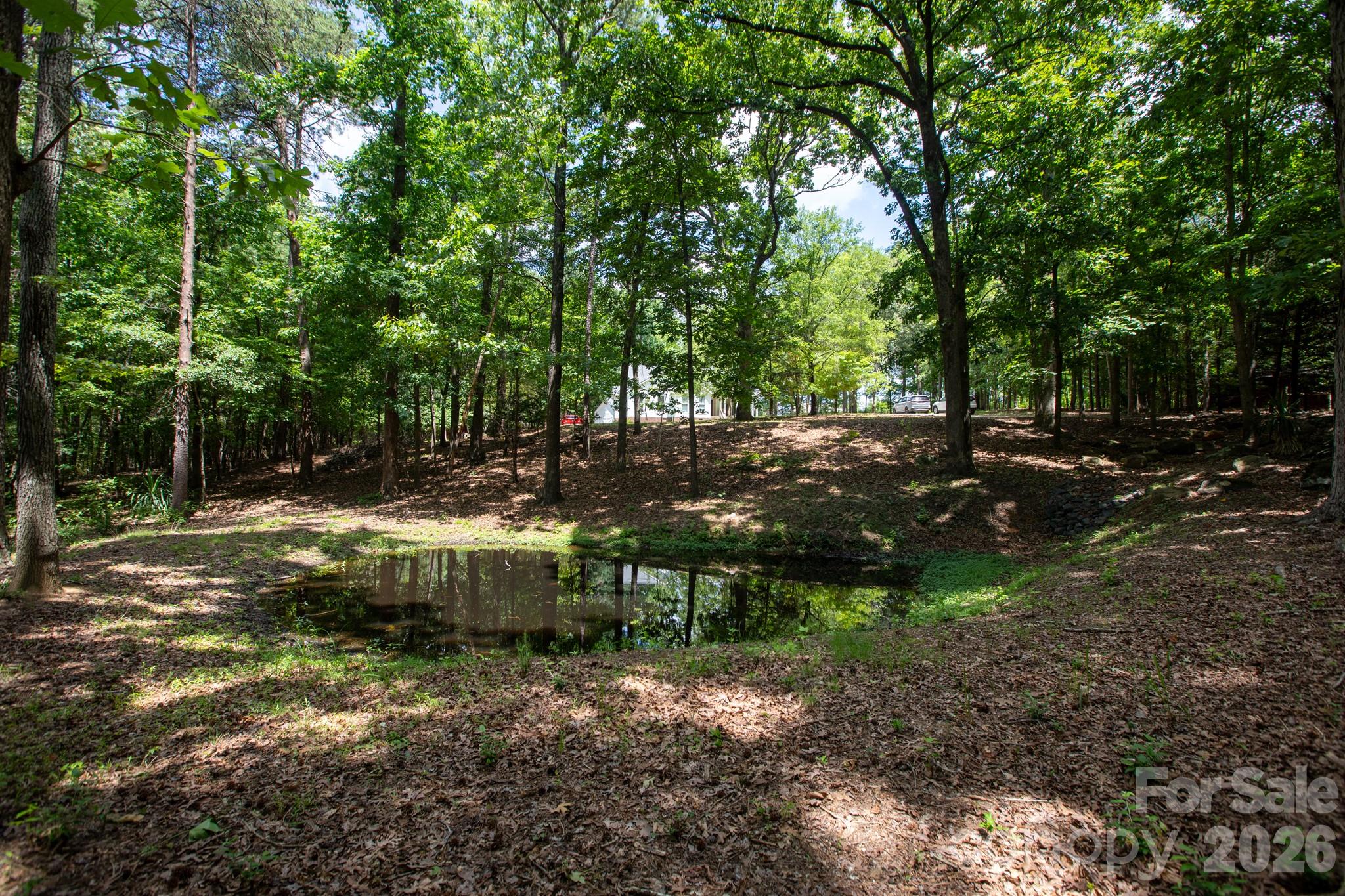 15224 Thomas Road Property Photo 38