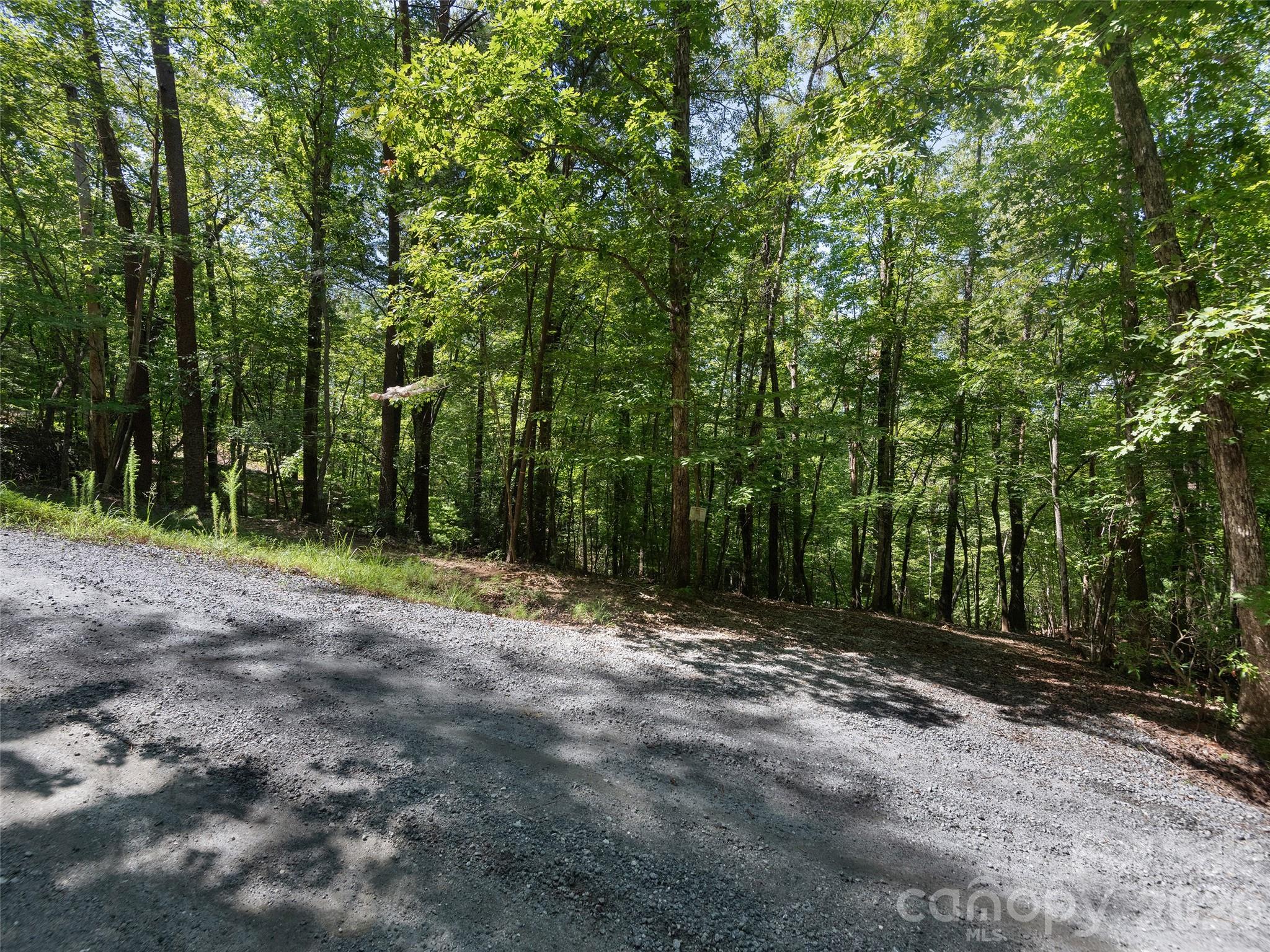 Lot #13 South Cove Road Property Photo 7