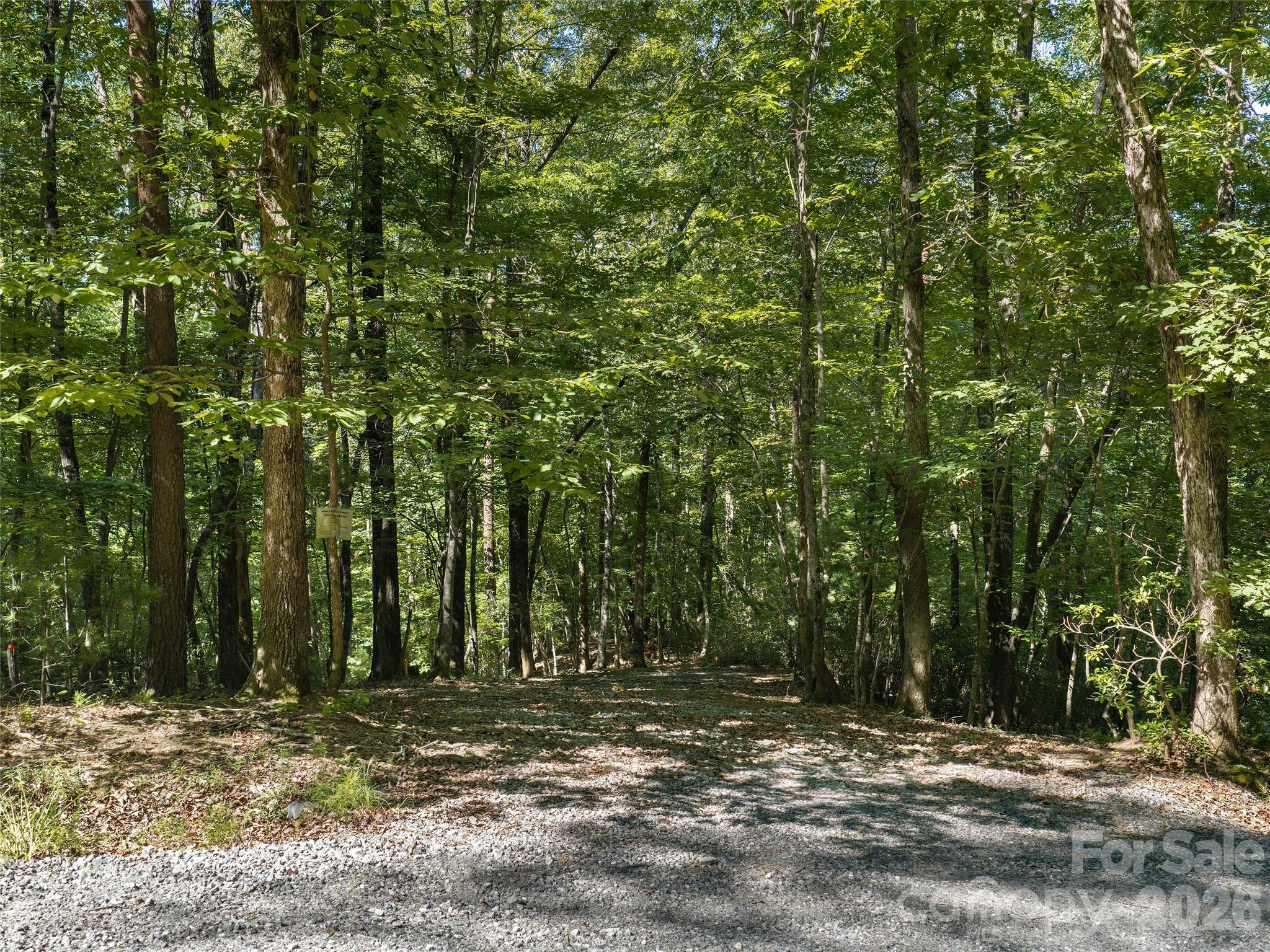 Lot #13 South Cove Road Property Photo 8
