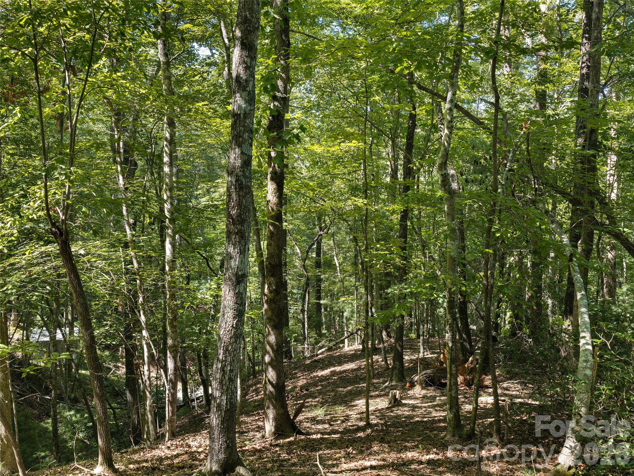 Lot #13 South Cove Road Property Photo 9
