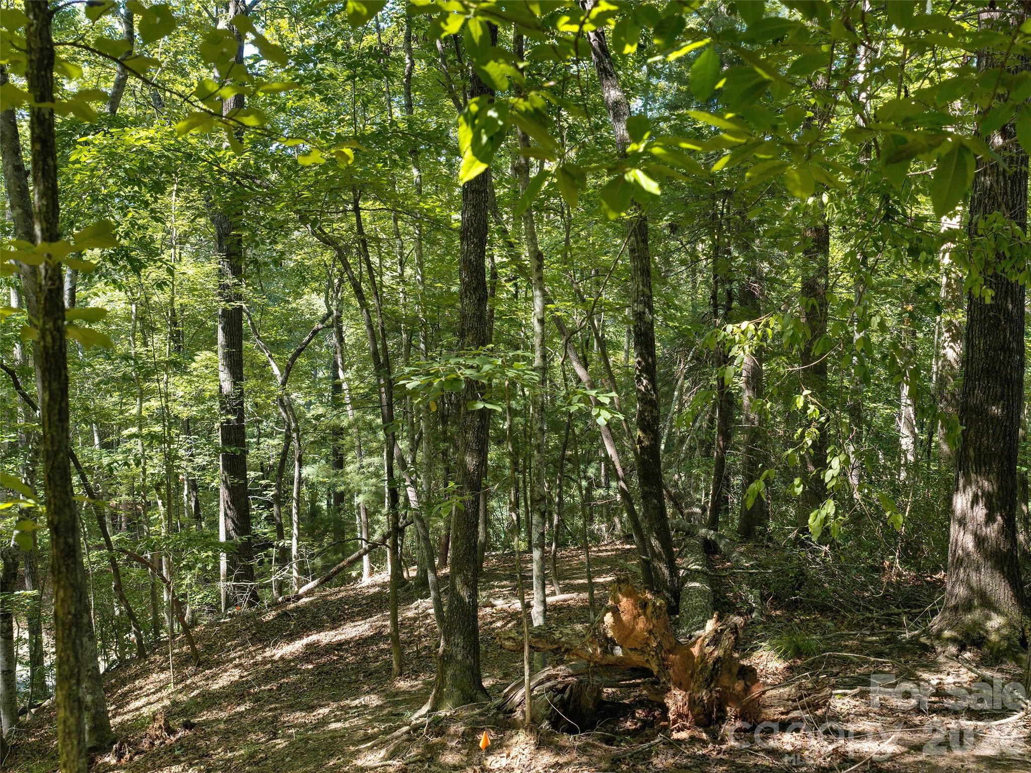 Lot #13 South Cove Road Property Photo 10
