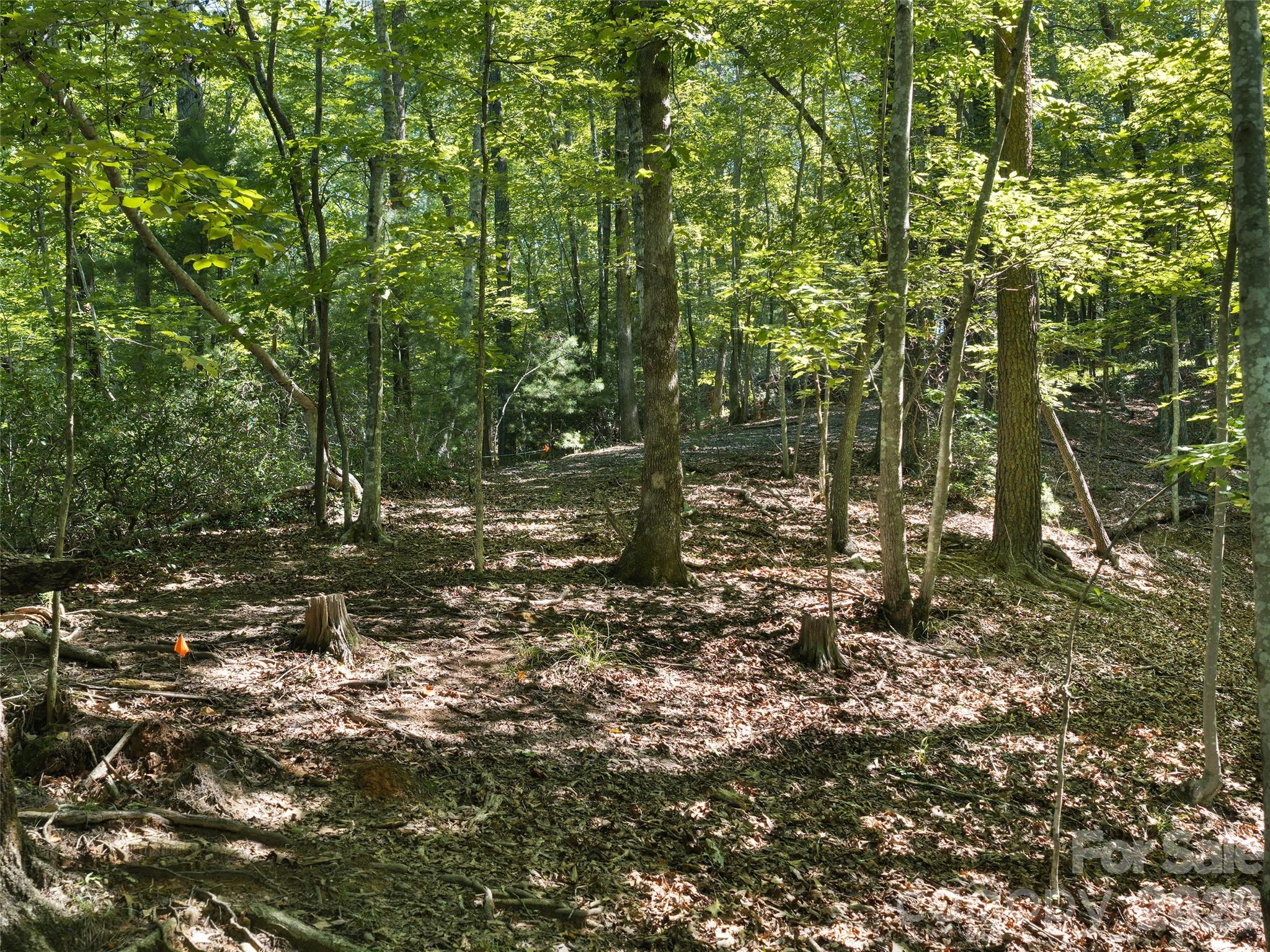 Lot #13 South Cove Road Property Photo 11