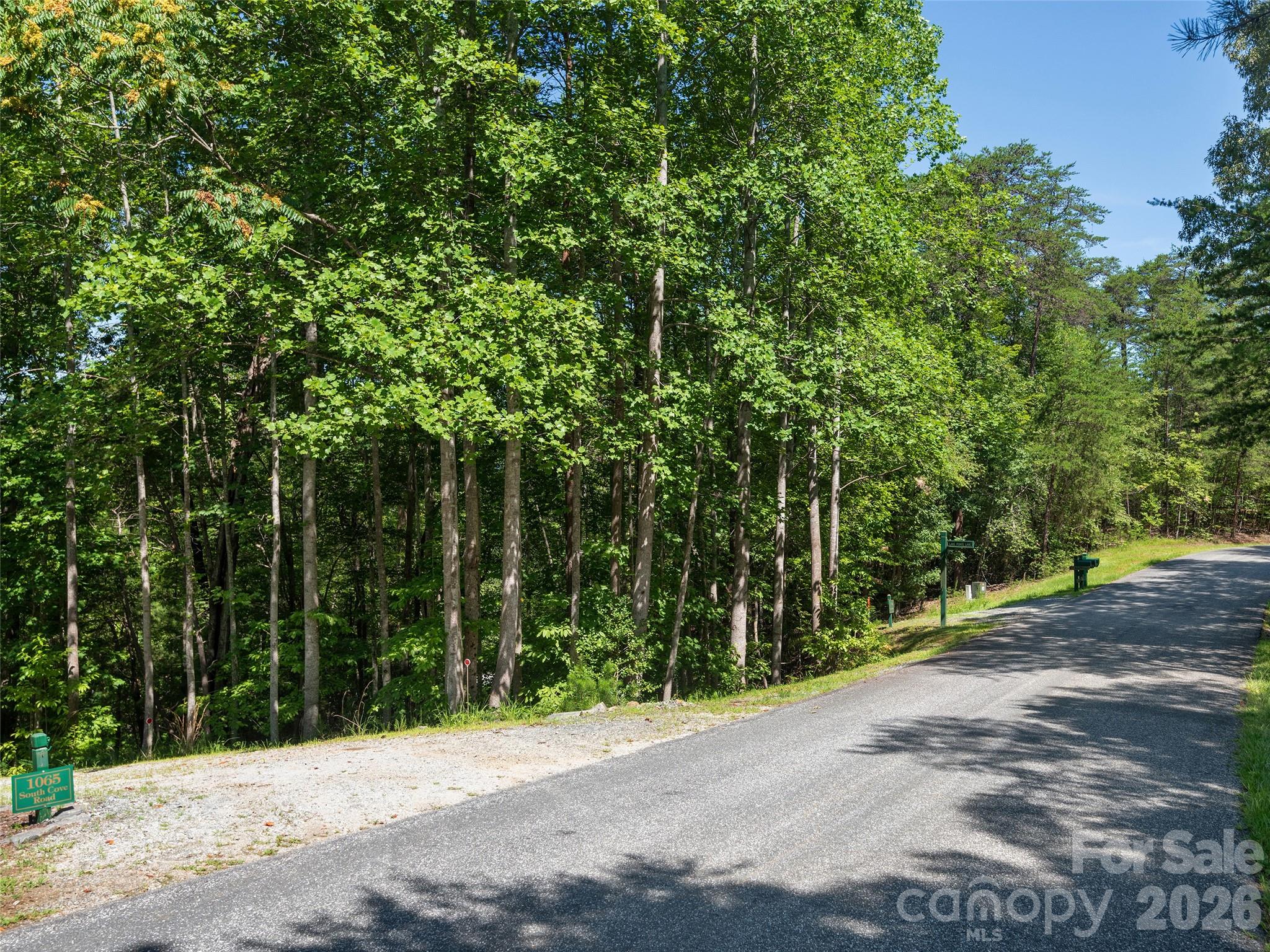 Lot #13 South Cove Road Property Photo 16