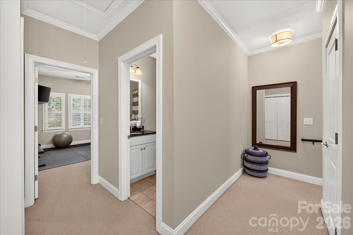 4632 Dabney Vigor Drive Property Photo 19