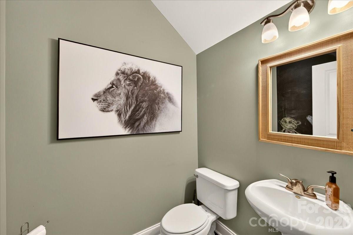 4632 Dabney Vigor Drive Property Photo 33