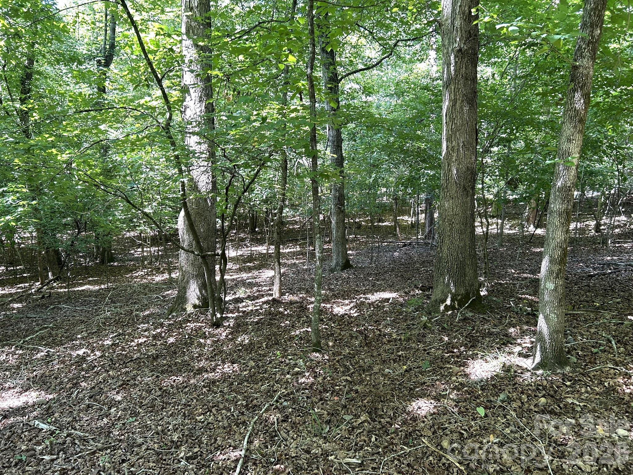 00 River Crest Parkway 26 Property Photo 3