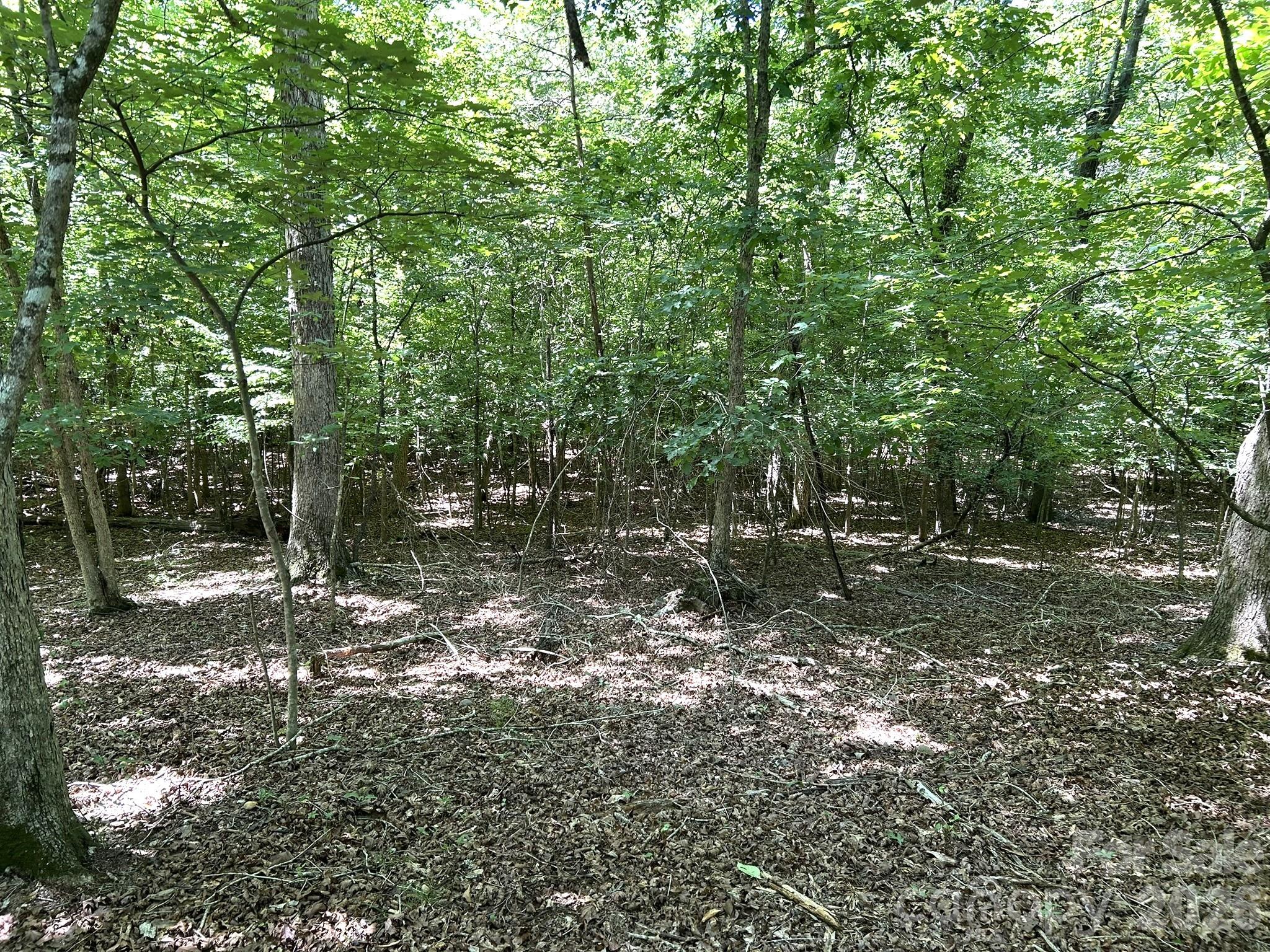 00 River Crest Parkway 26 Property Photo 4