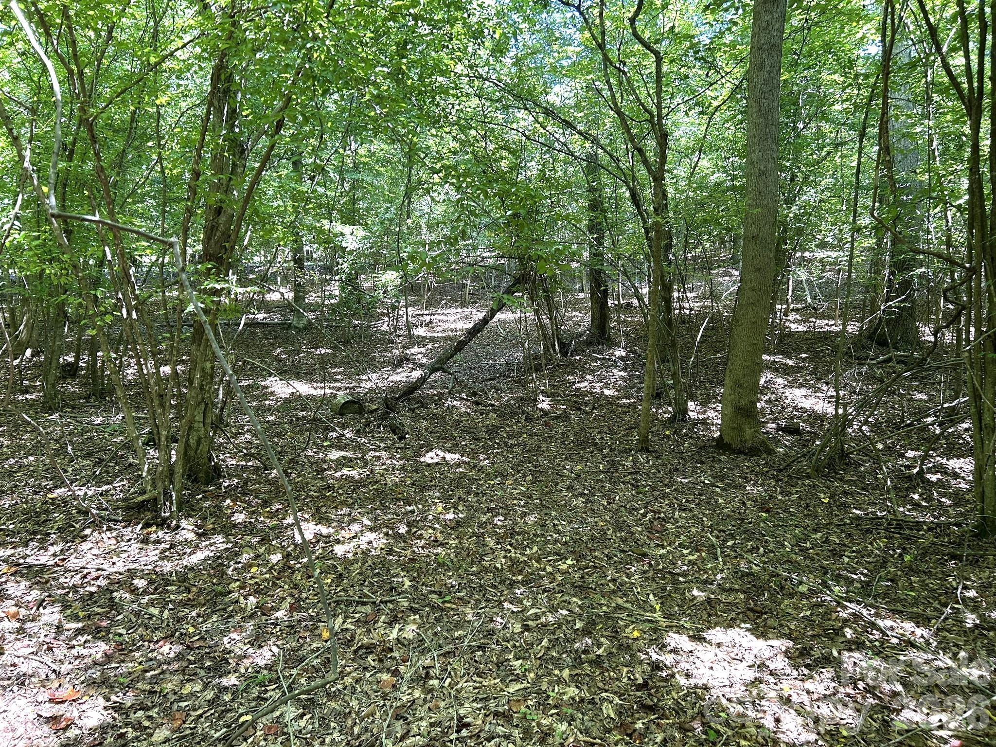 00 River Crest Parkway 26 Property Photo 5