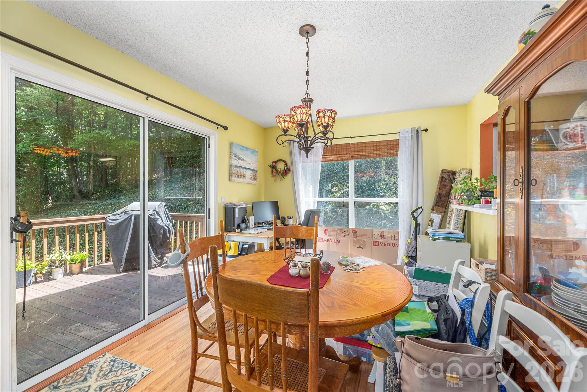 5 Summer Savory Court Property Photo 10