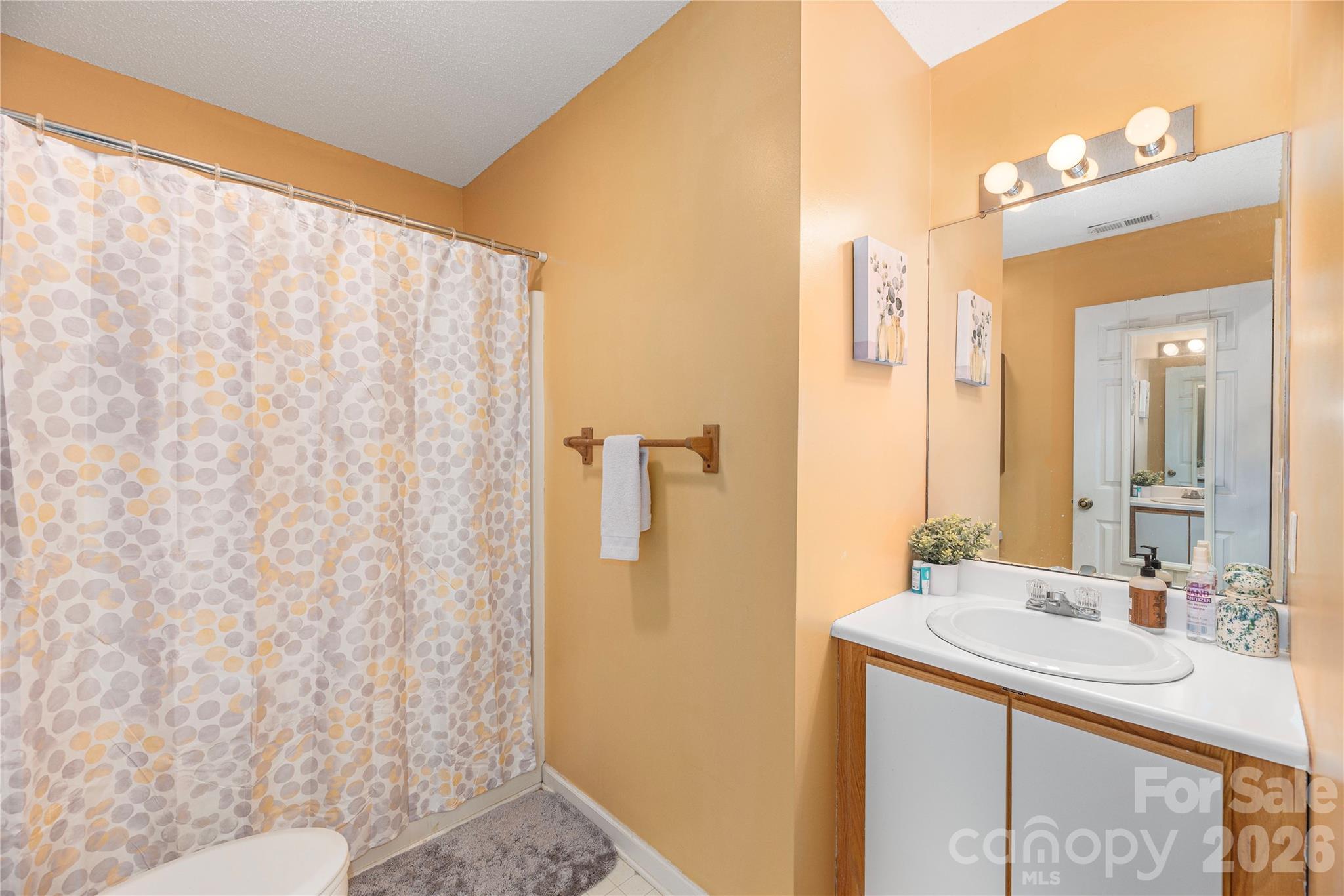 5 Summer Savory Court Property Photo 19