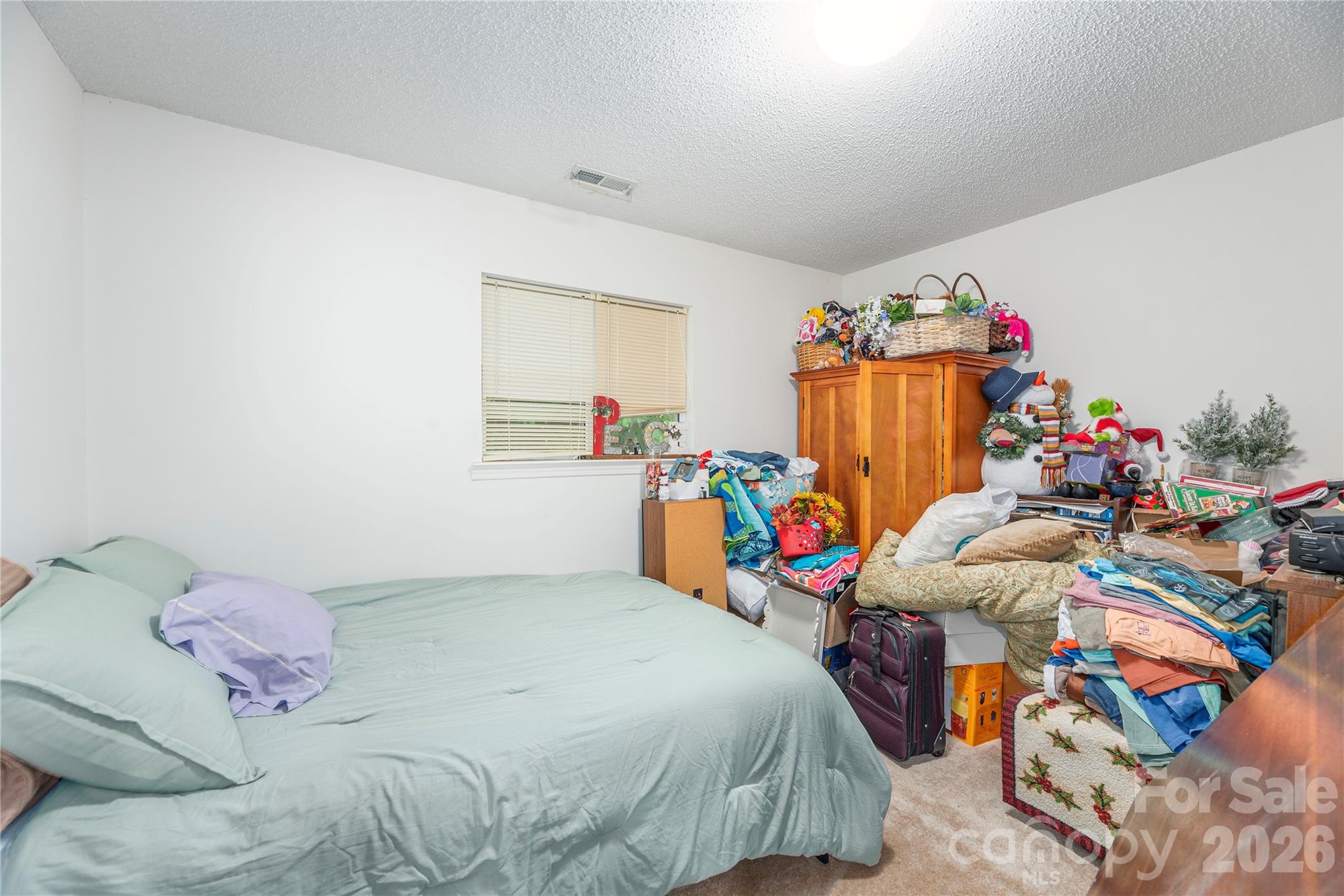 5 Summer Savory Court Property Photo 20