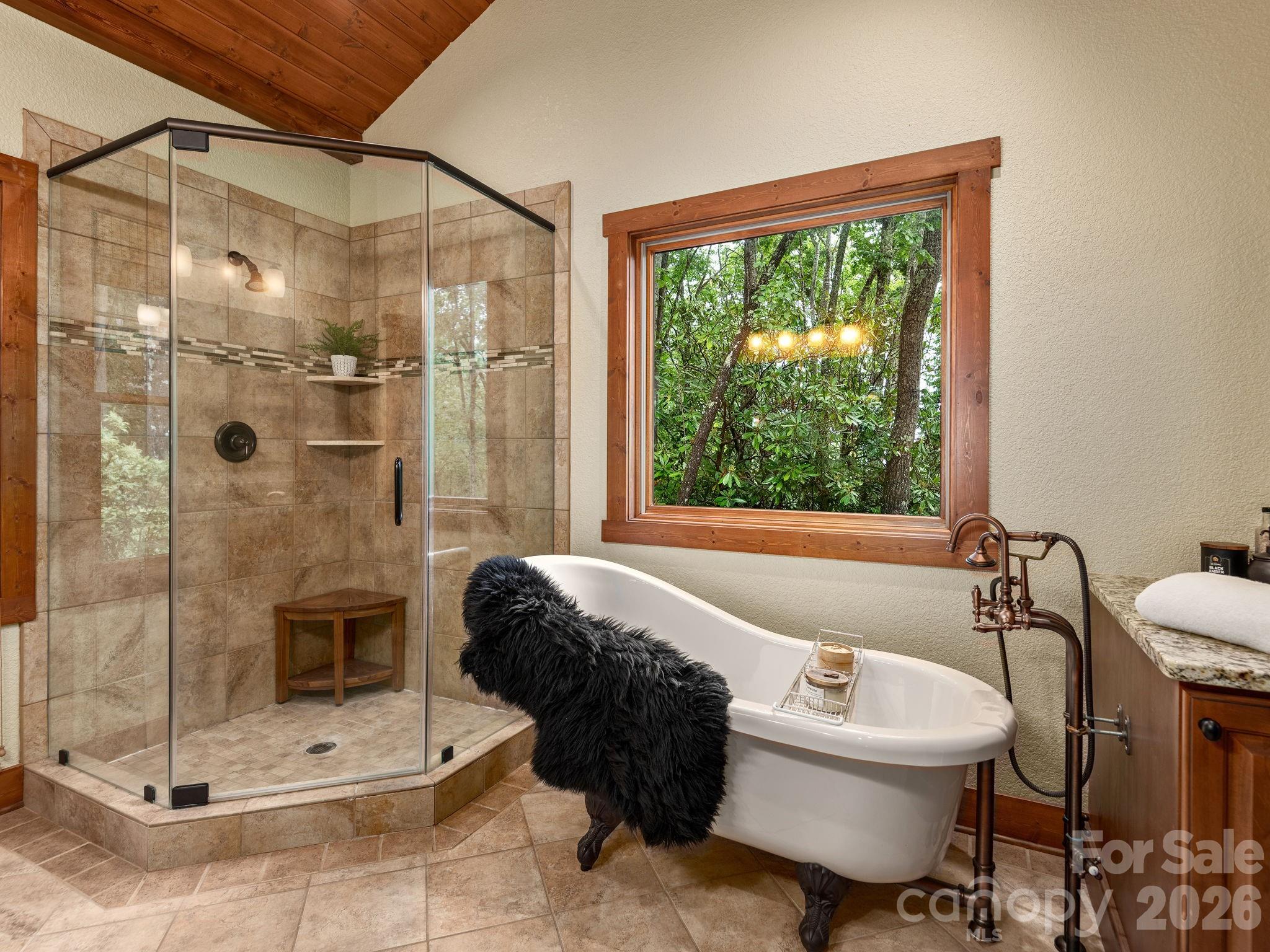 352 Celo Cove Drive 18 Property Photo 19