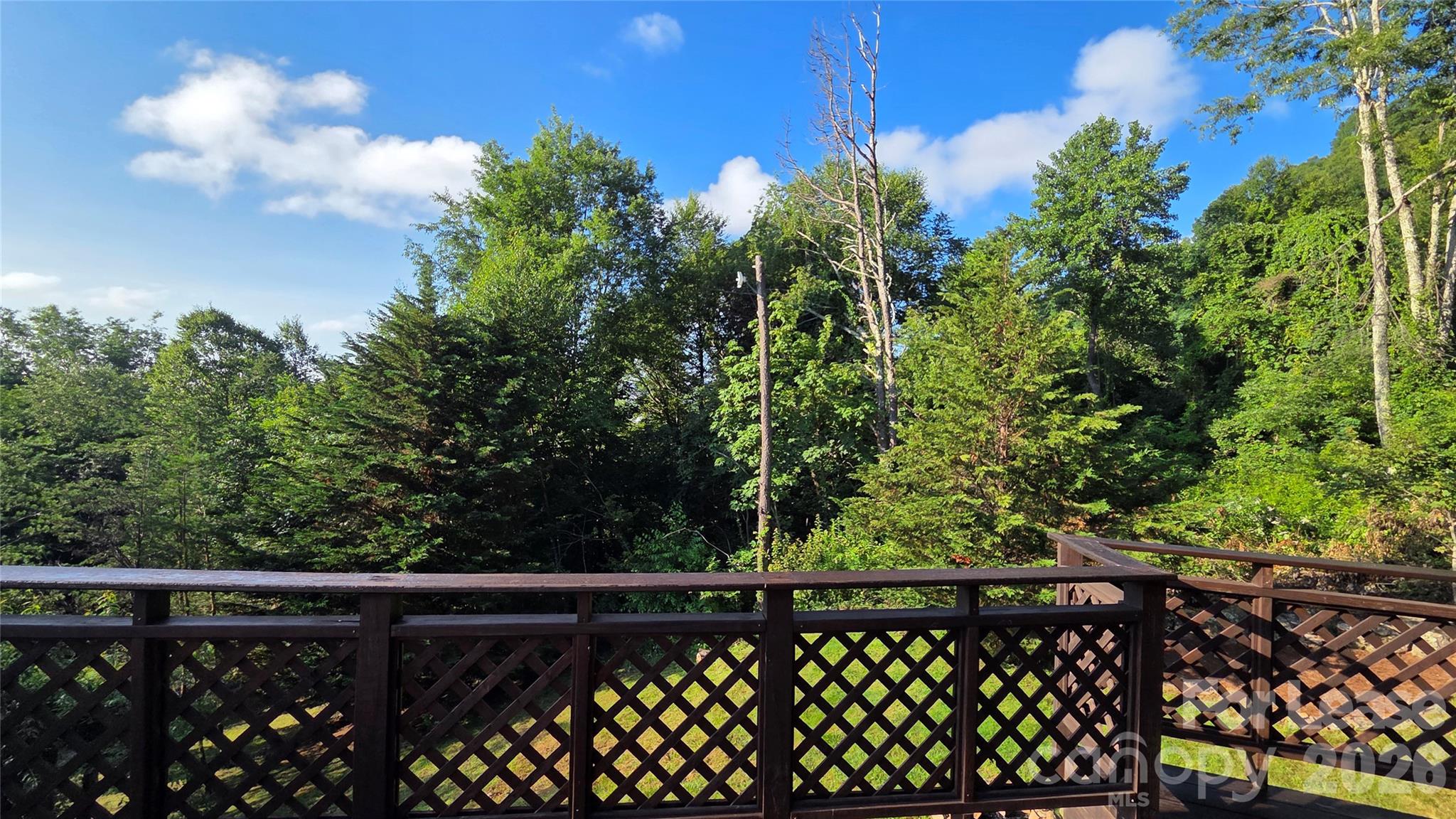 281 Bearwallow Trail Property Photo 23