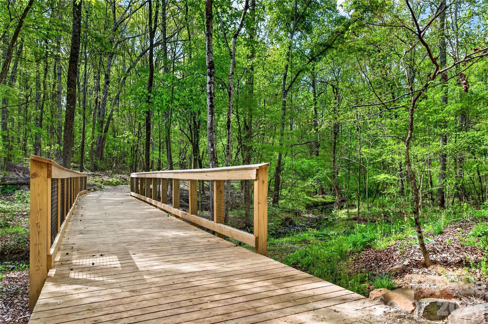 6055 Latta Springs Circle Property Photo 45