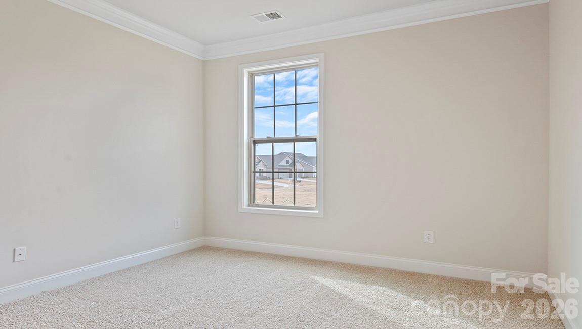 446 River Bottom Road Property Photo 21