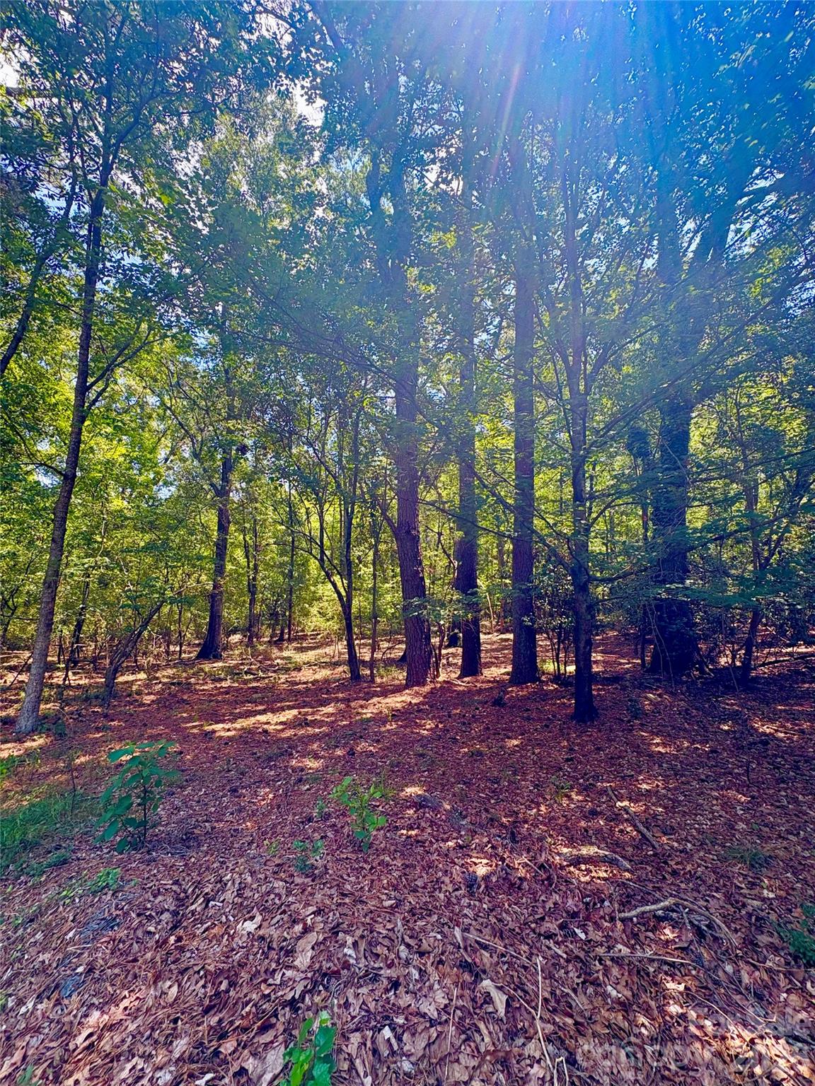 1801 Griffith Road Property Photo 10