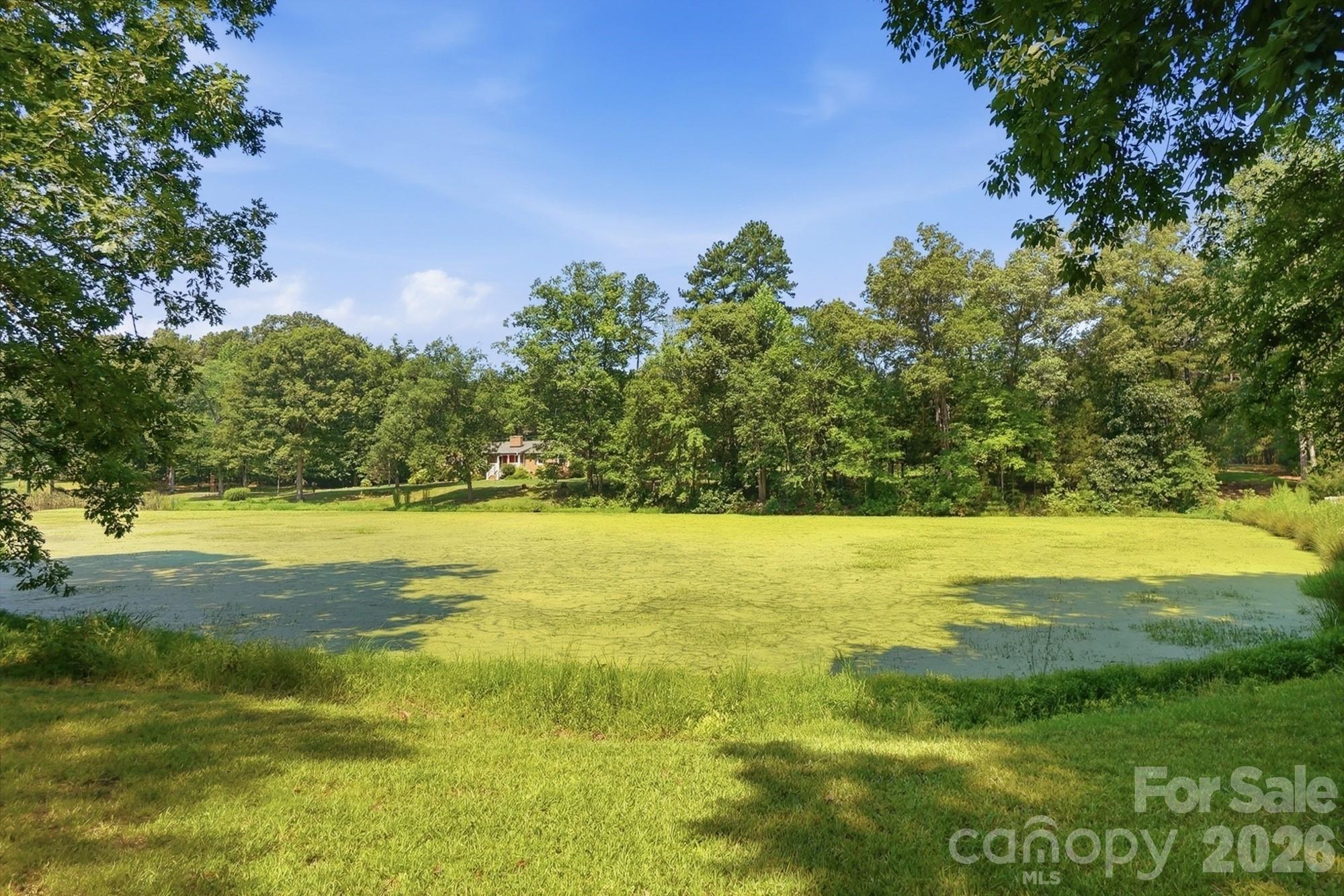 11060 Teresia Lane Property Photo 42