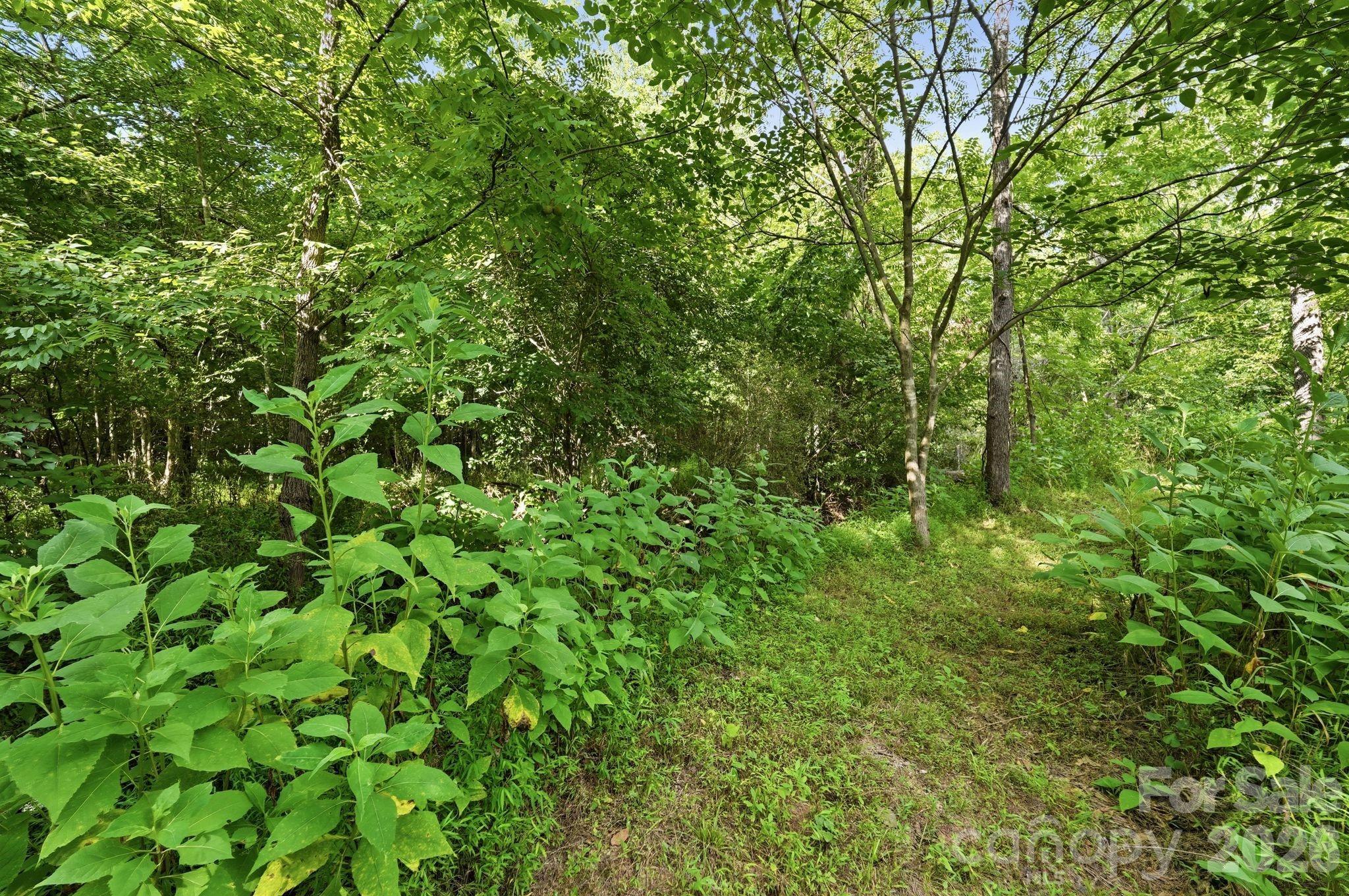 139 Addison Emory Lane Property Photo 44