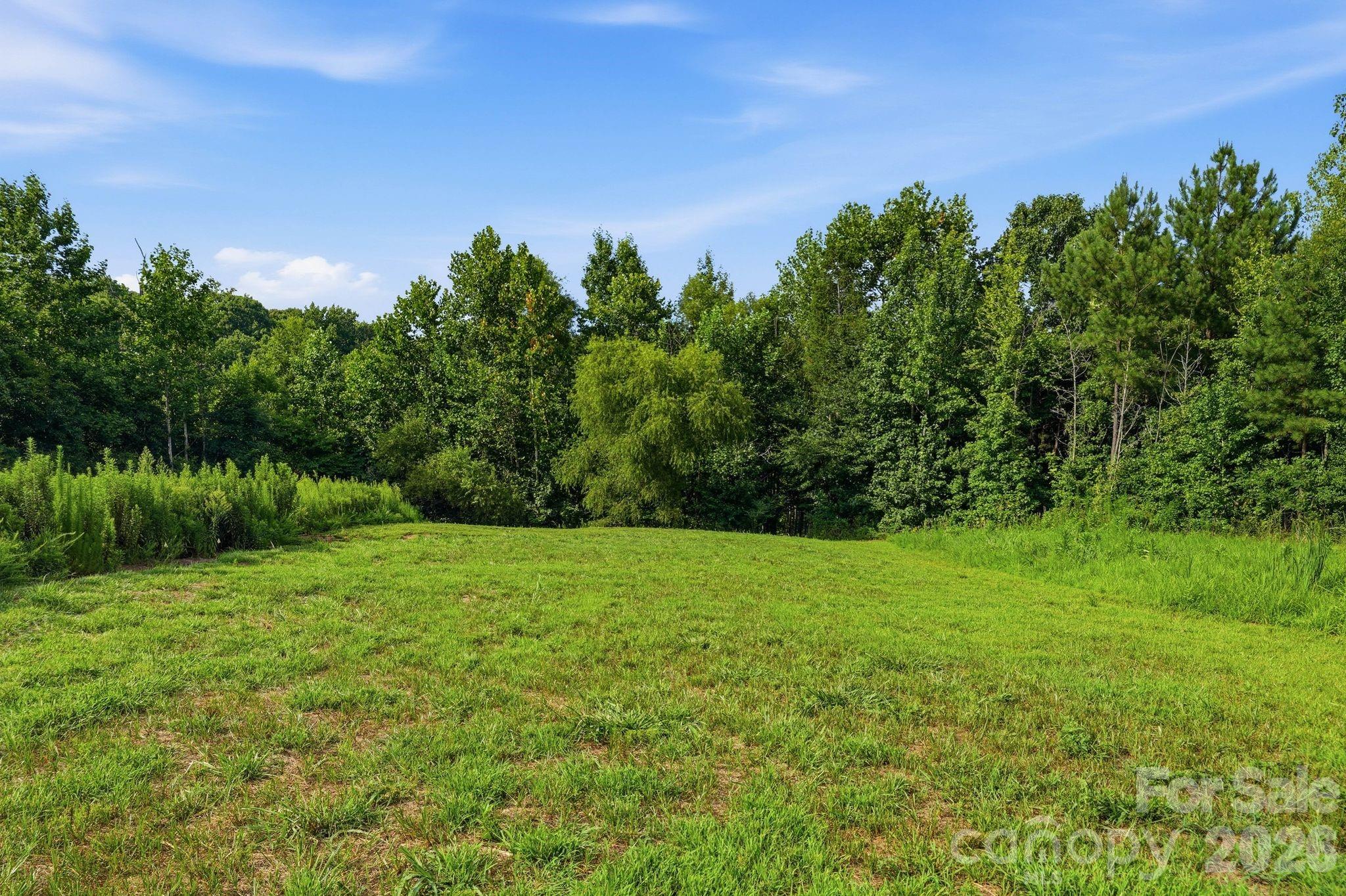 139 Addison Emory Lane Property Photo 46