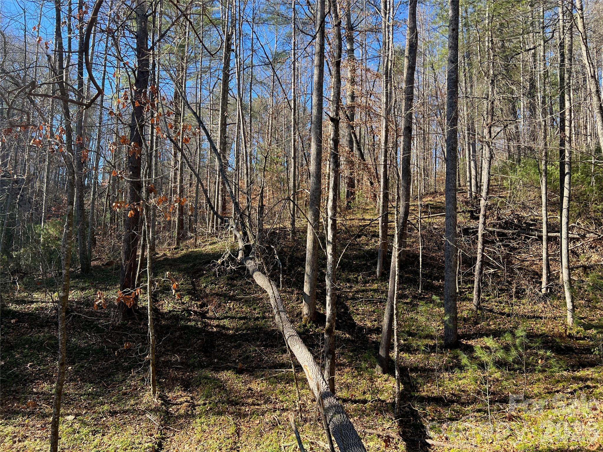 147 Falling Leaves Lane Property Photo 2