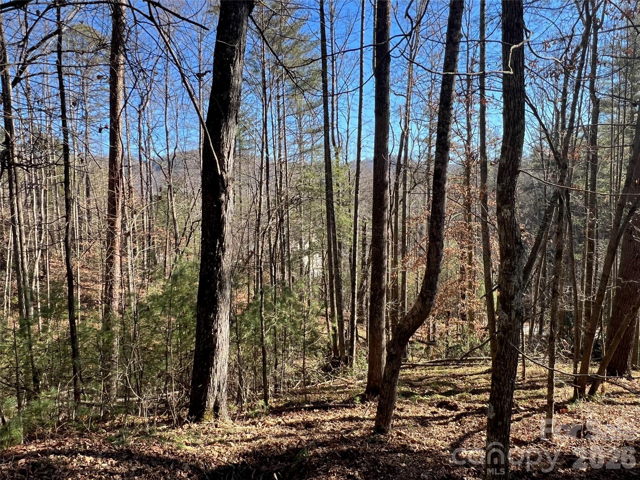 147 Falling Leaves Lane Property Photo 3