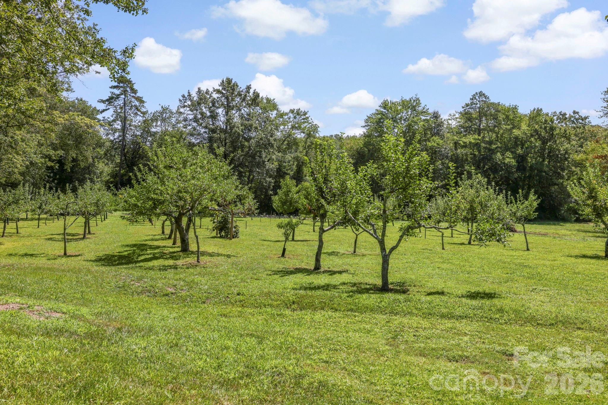 200 Newman Drive Property Photo 6