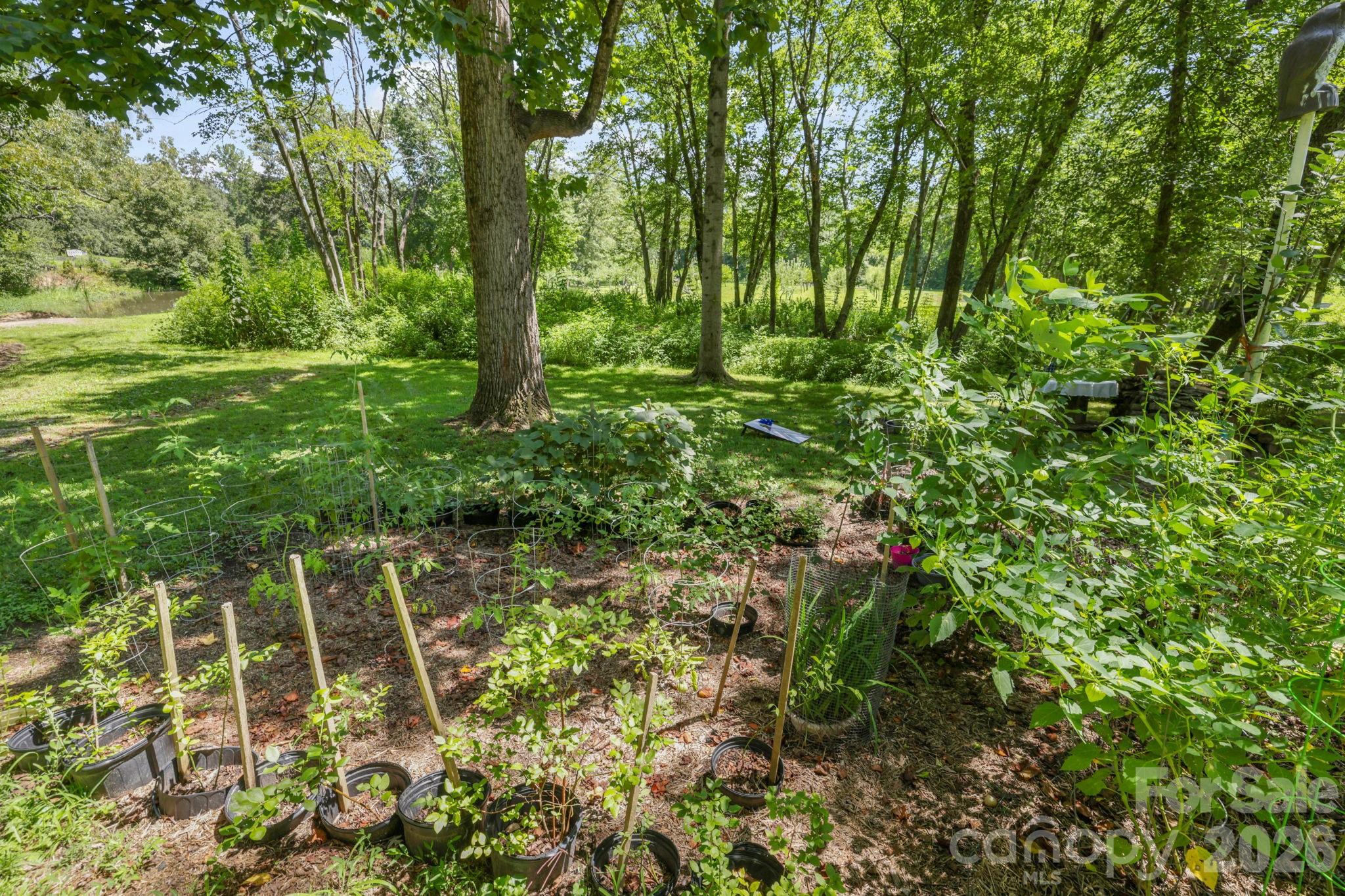 200 Newman Drive Property Photo 37