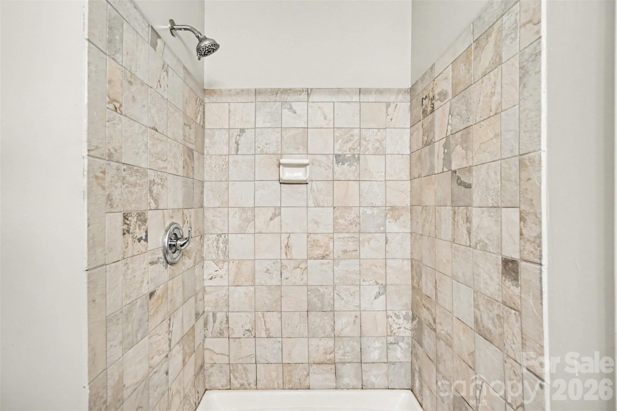 6165 Meadow Rose Lane Property Photo 18