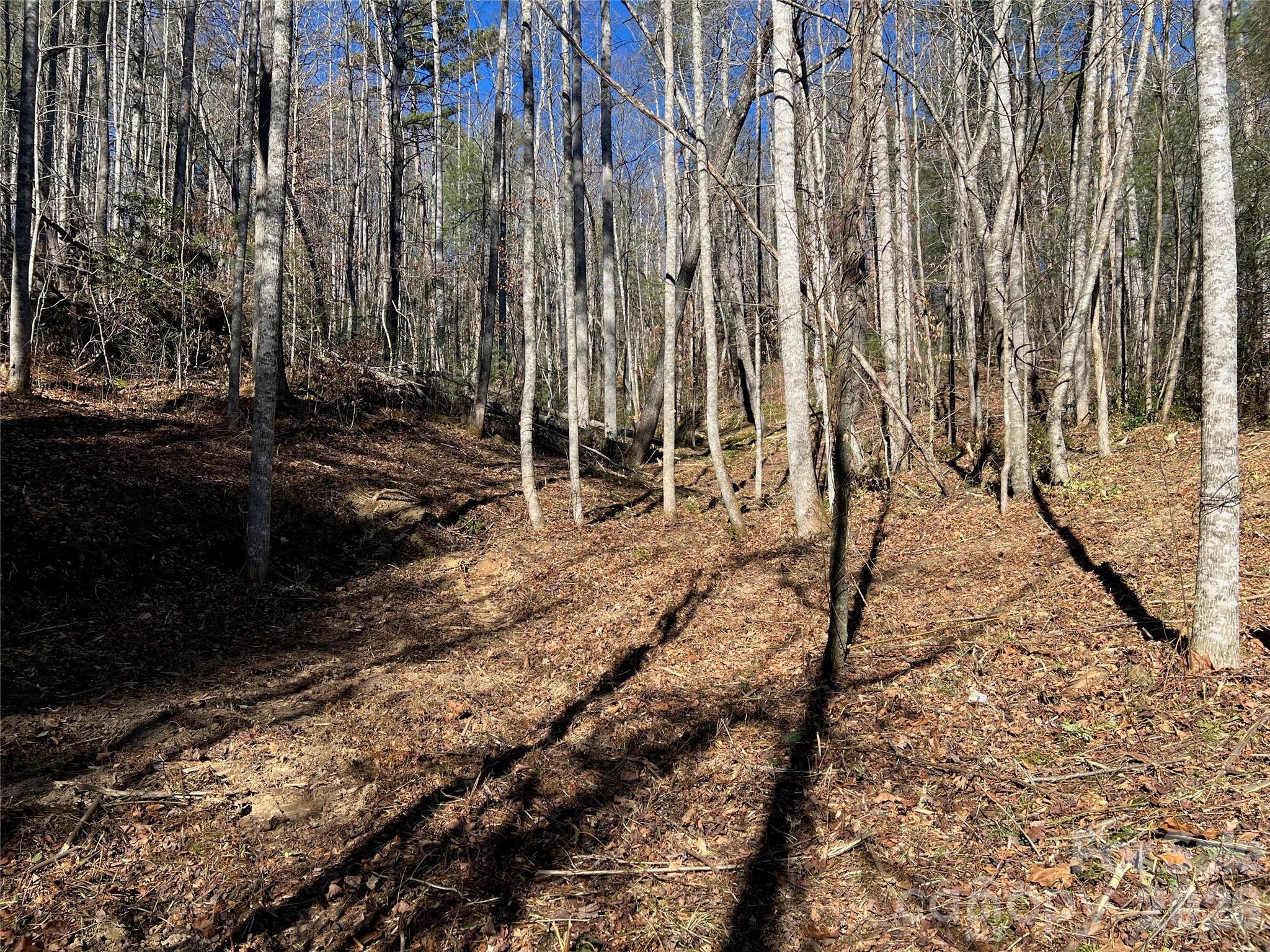 181 Falling Leaves Lane Property Photo 2