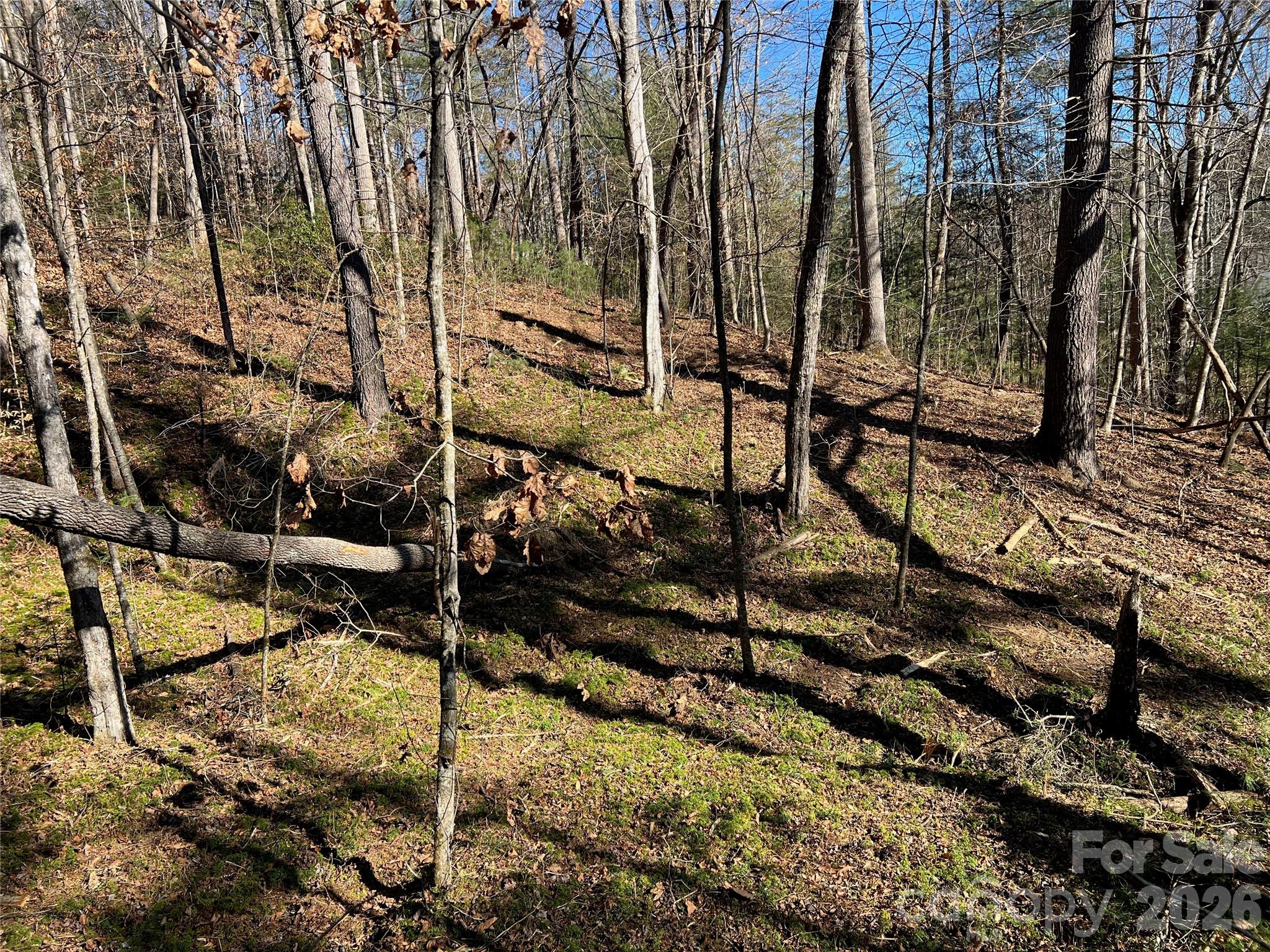181 Falling Leaves Lane Property Photo 3