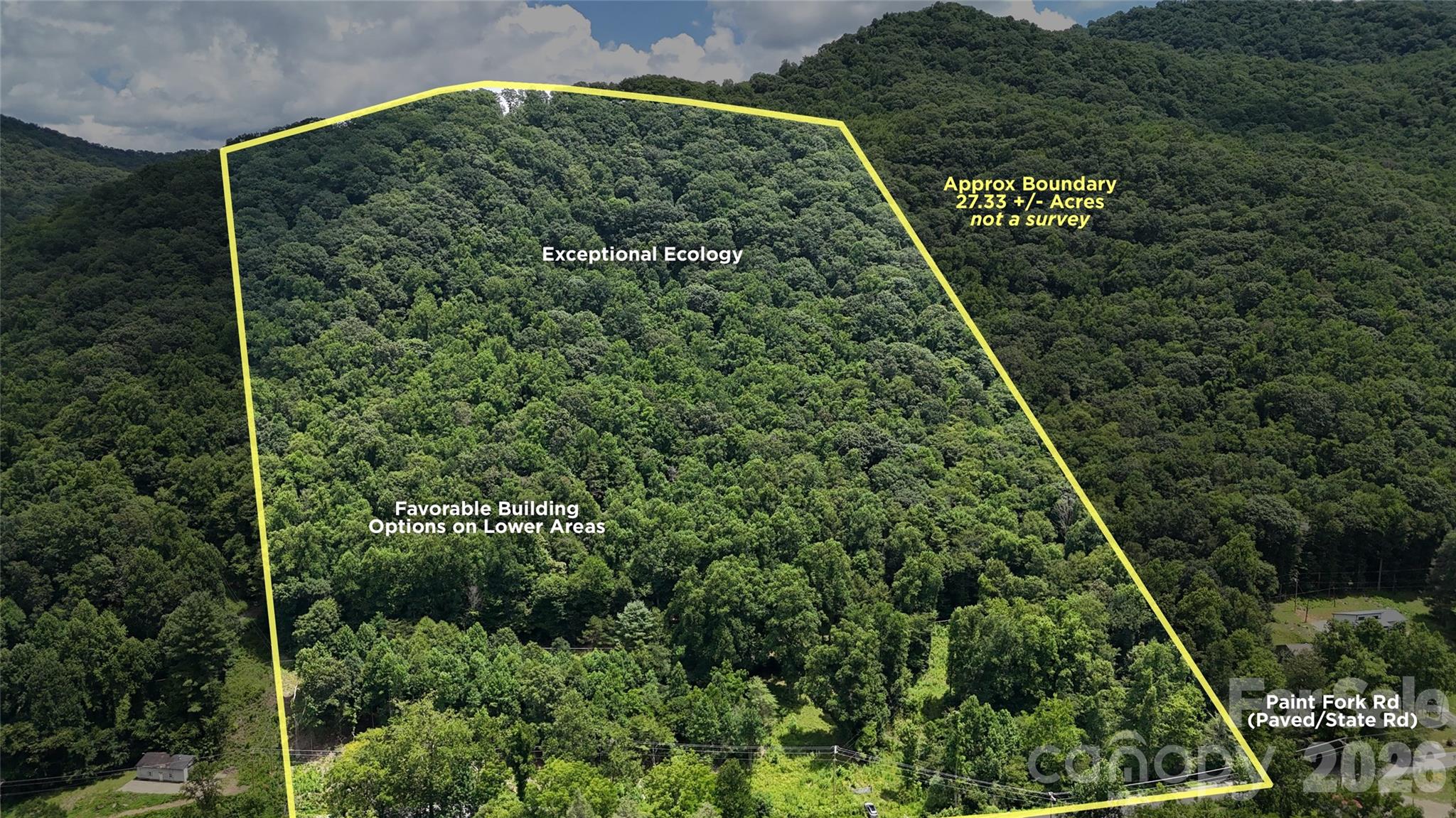 Tbd Paint Fork Road Property Photo 1