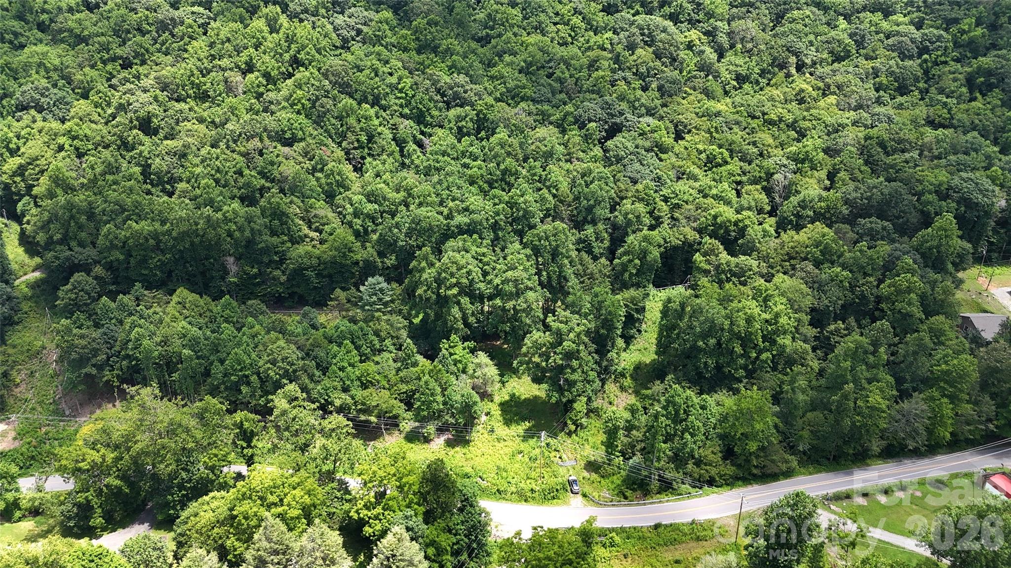 Tbd Paint Fork Road Property Photo 3