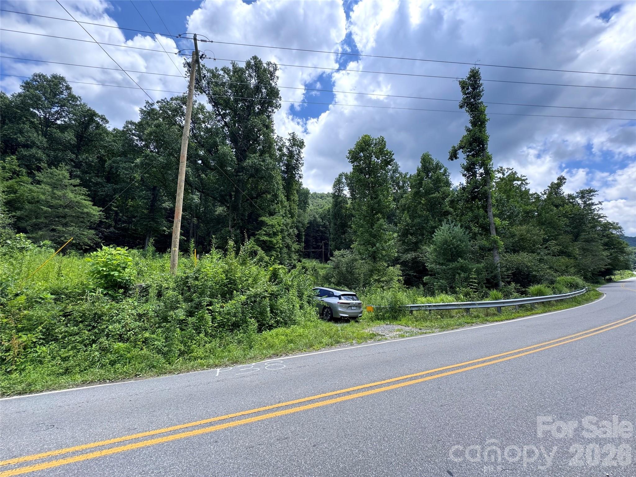 Tbd Paint Fork Road Property Photo 4