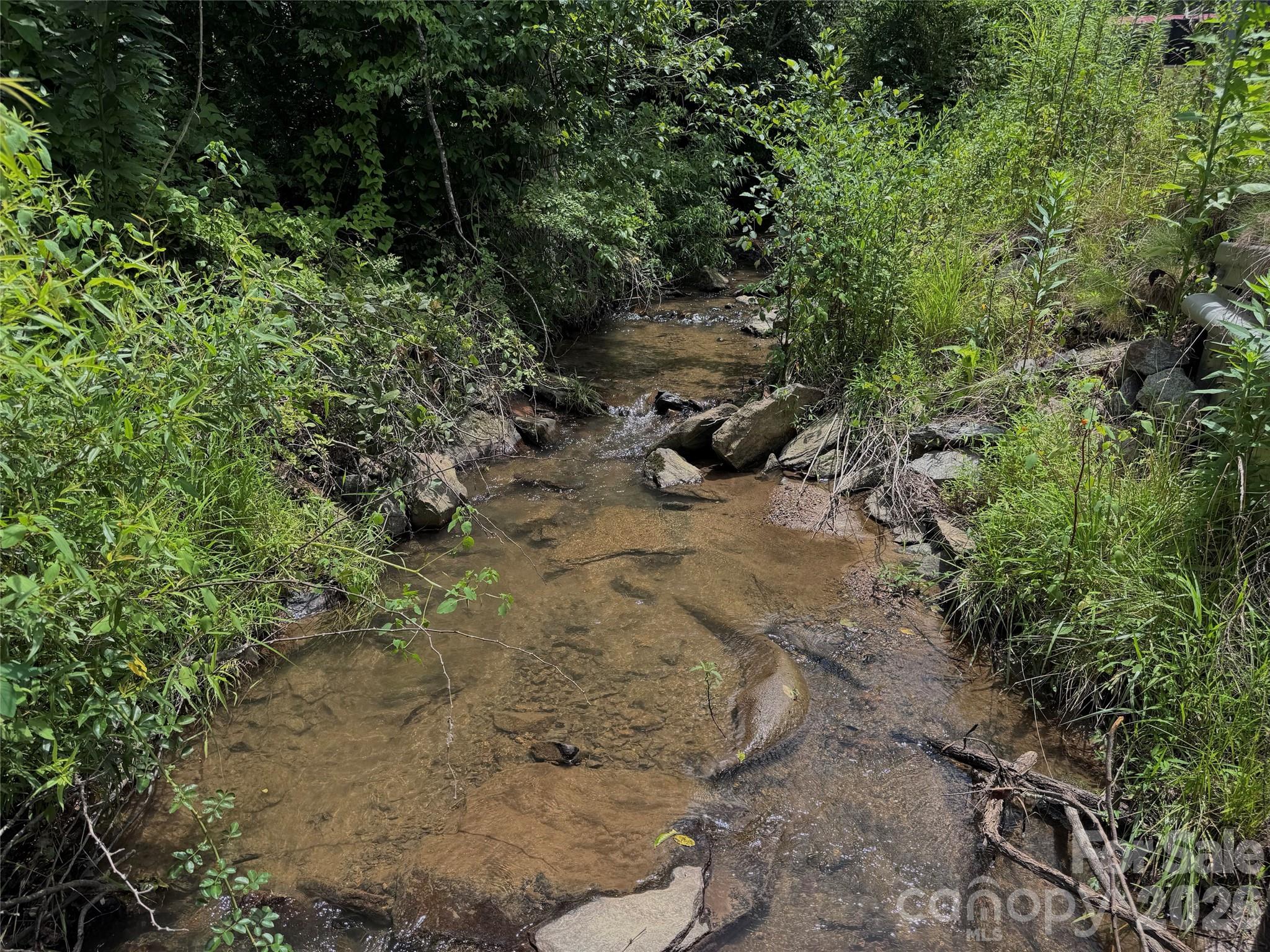 Tbd Paint Fork Road Property Photo 6