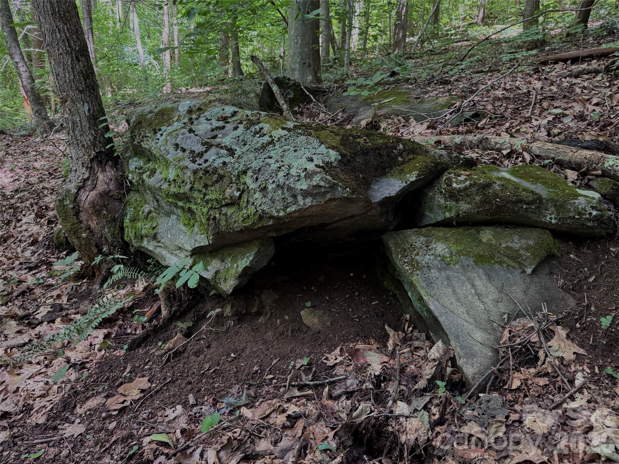 Tbd Paint Fork Road Property Photo 10