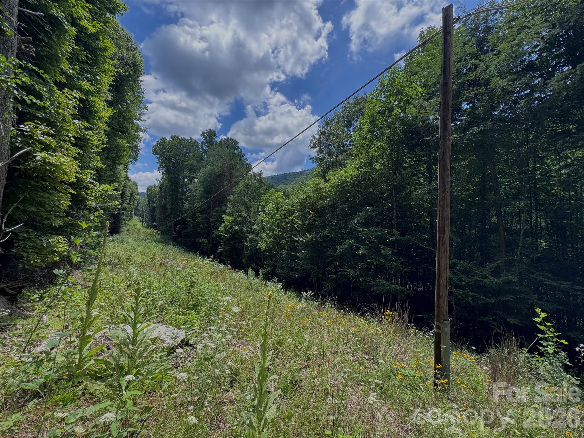 Tbd Paint Fork Road Property Photo 13