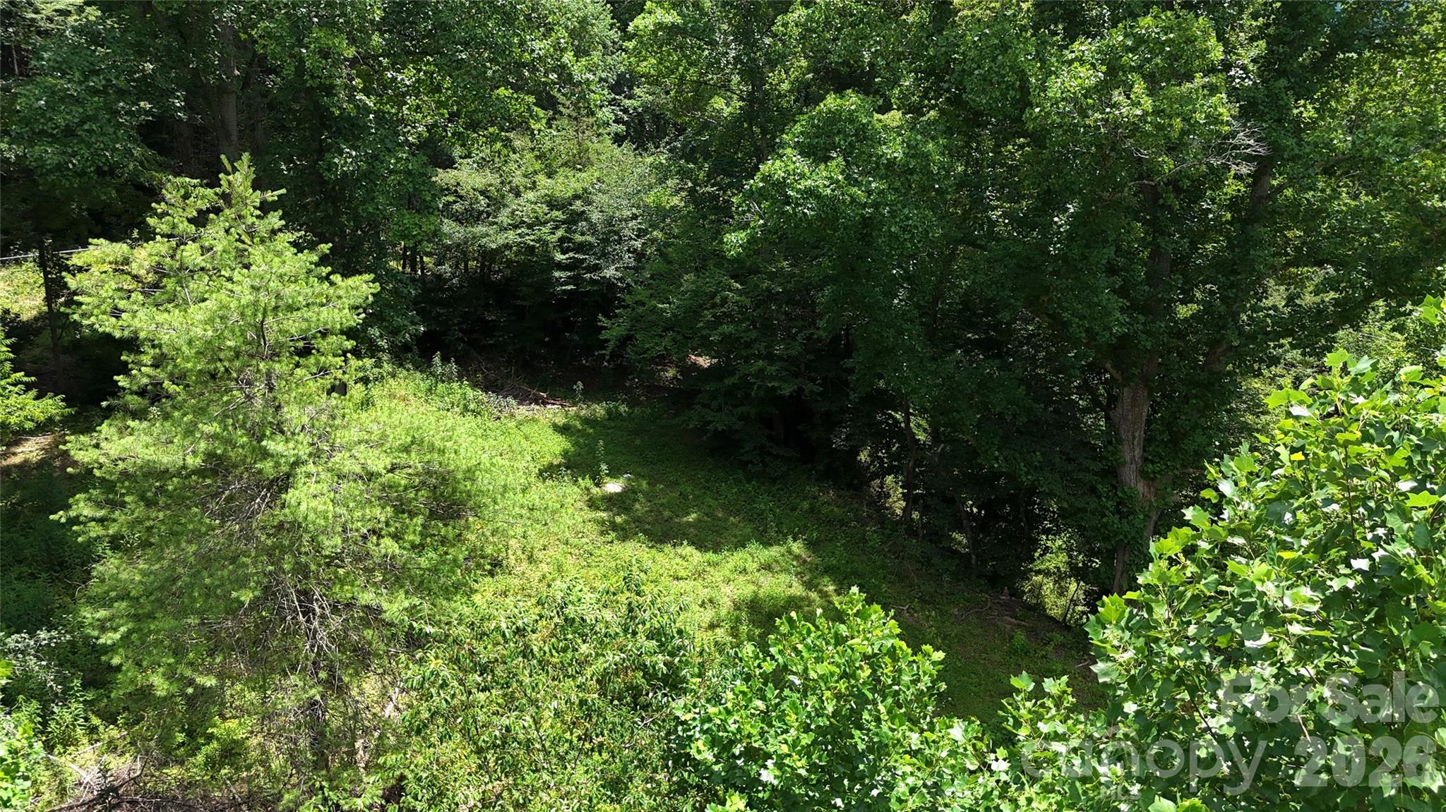 Tbd Paint Fork Road Property Photo 14