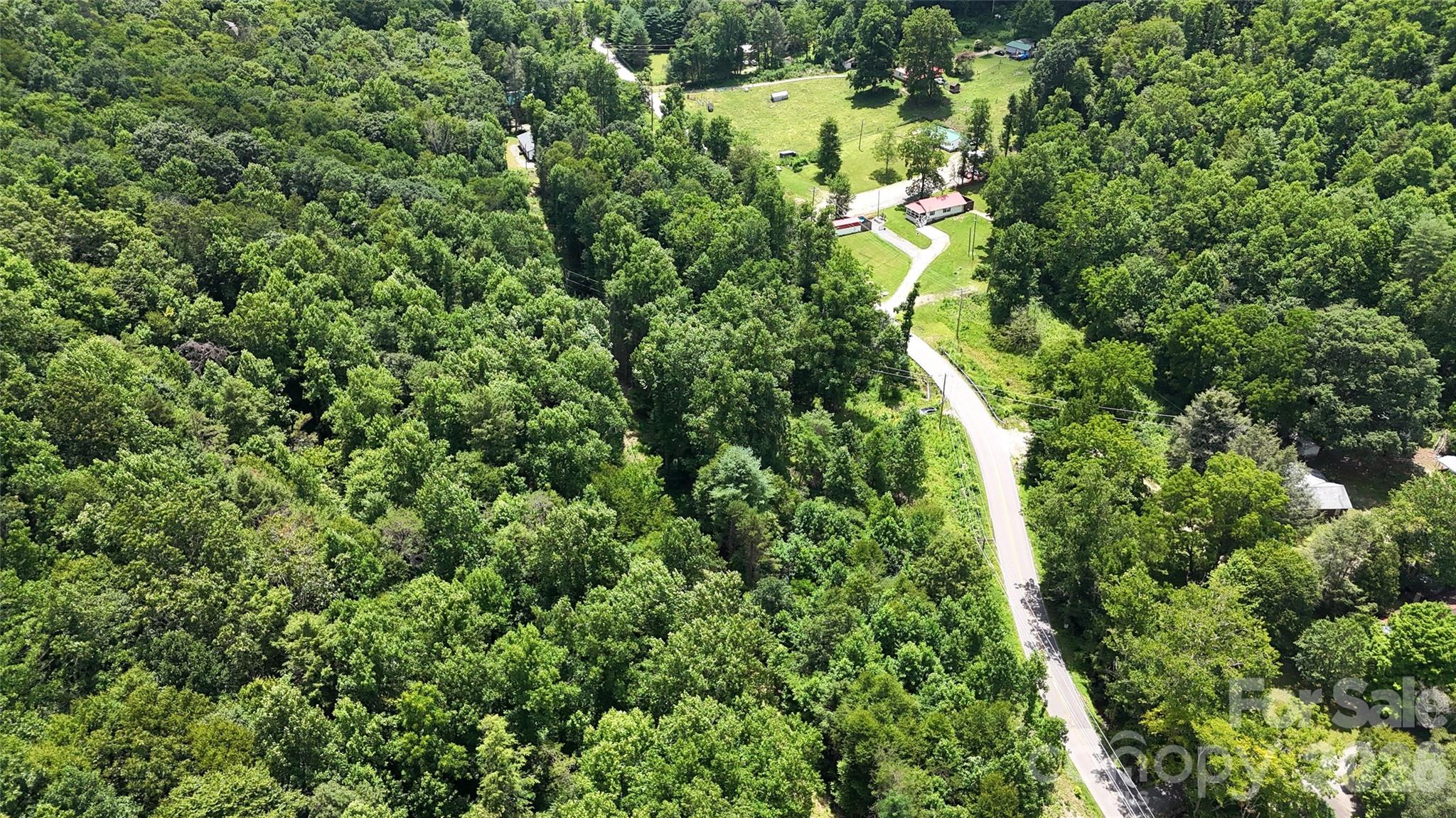 Tbd Paint Fork Road Property Photo 16