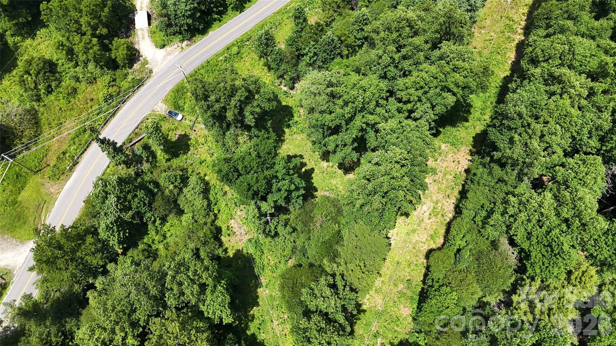 Tbd Paint Fork Road Property Photo 17