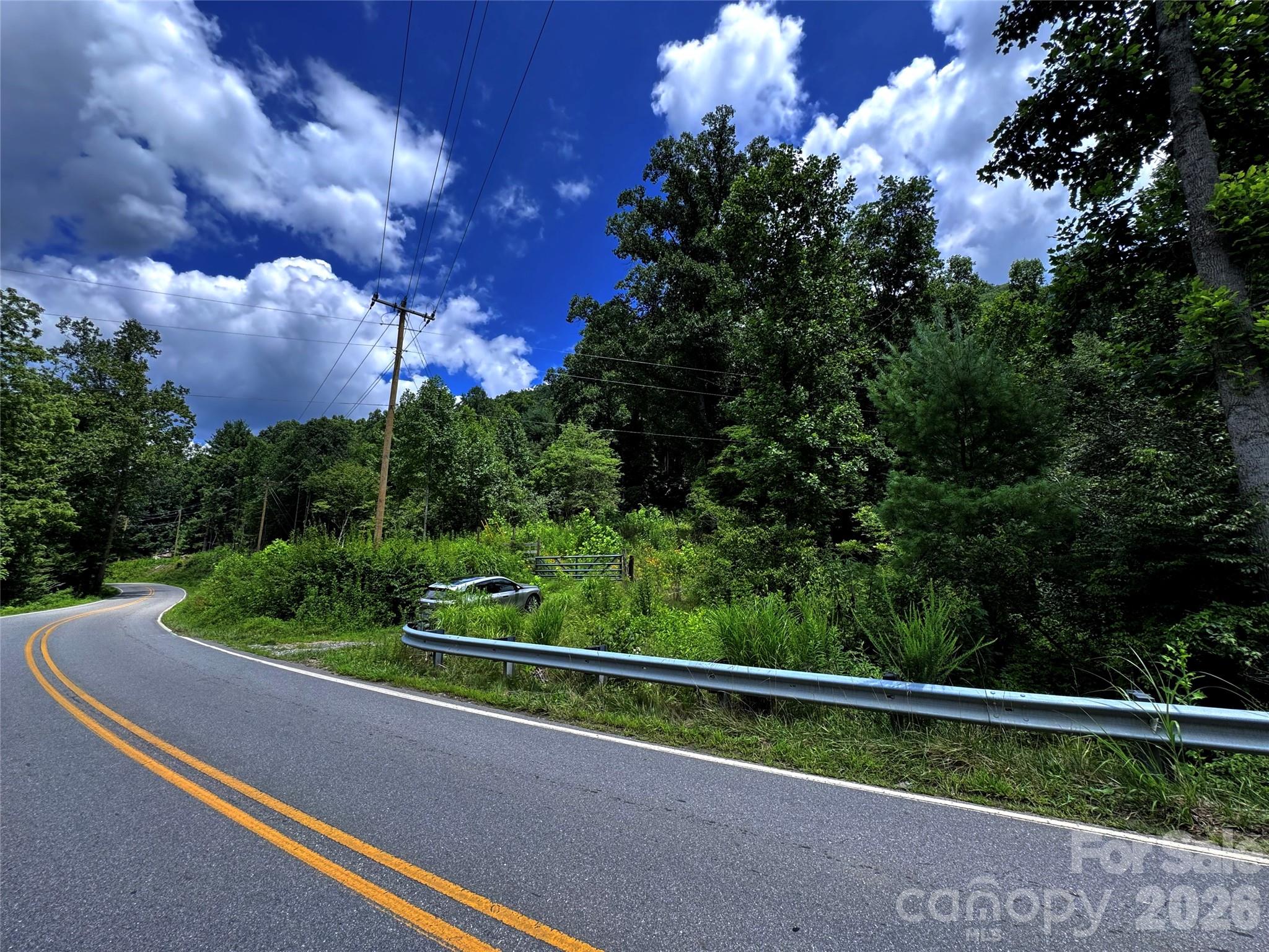 Tbd Paint Fork Road Property Photo 18