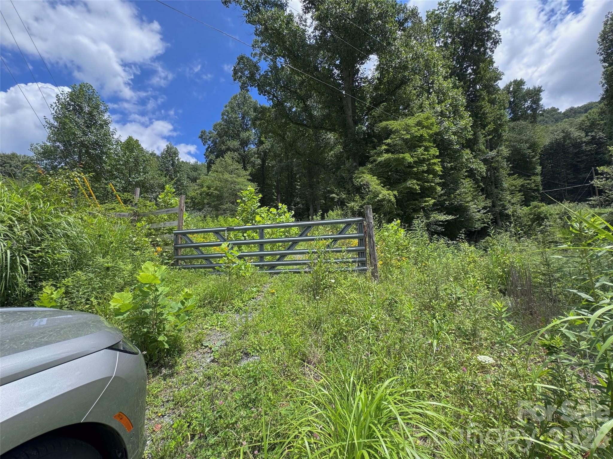 Tbd Paint Fork Road Property Photo 19