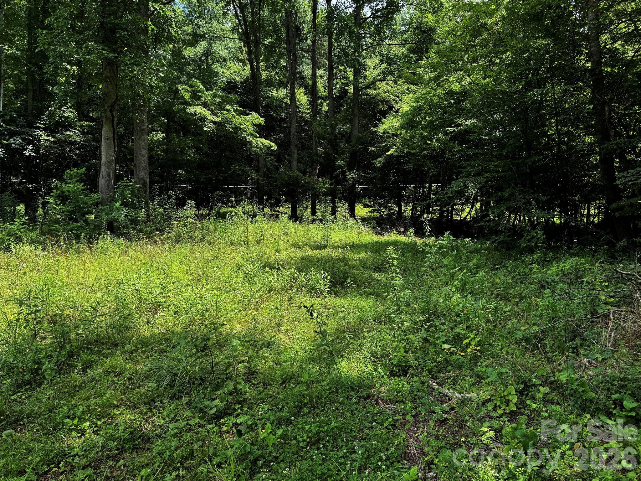 Tbd Paint Fork Road Property Photo 21
