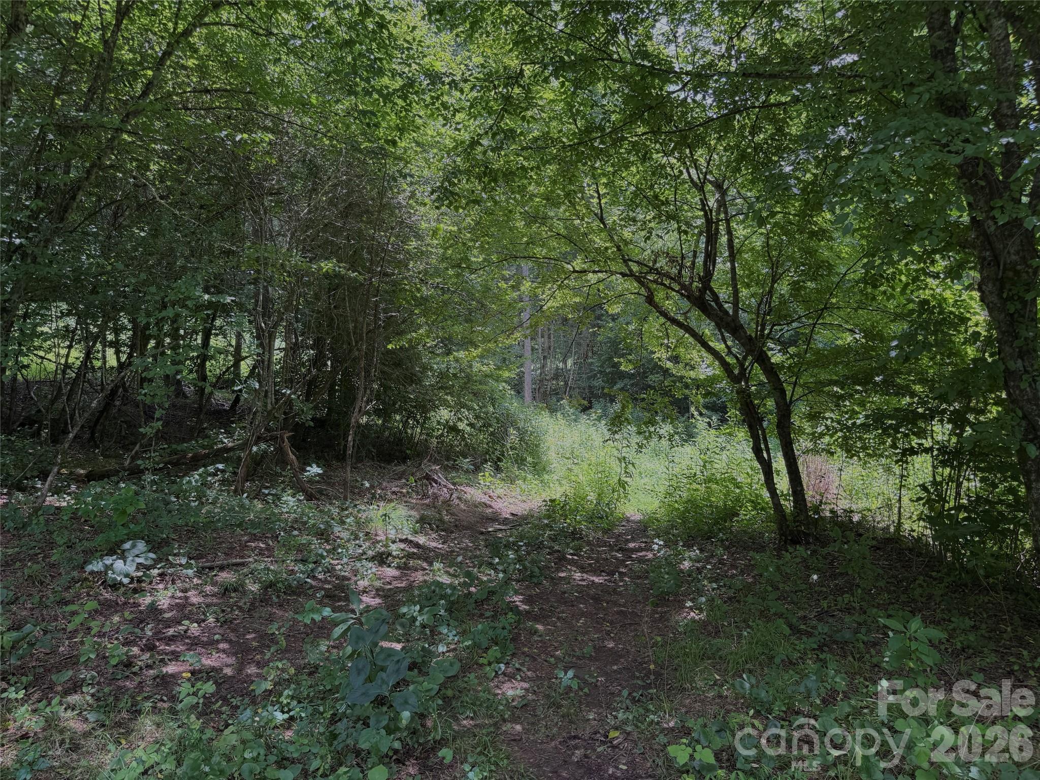 Tbd Paint Fork Road Property Photo 23